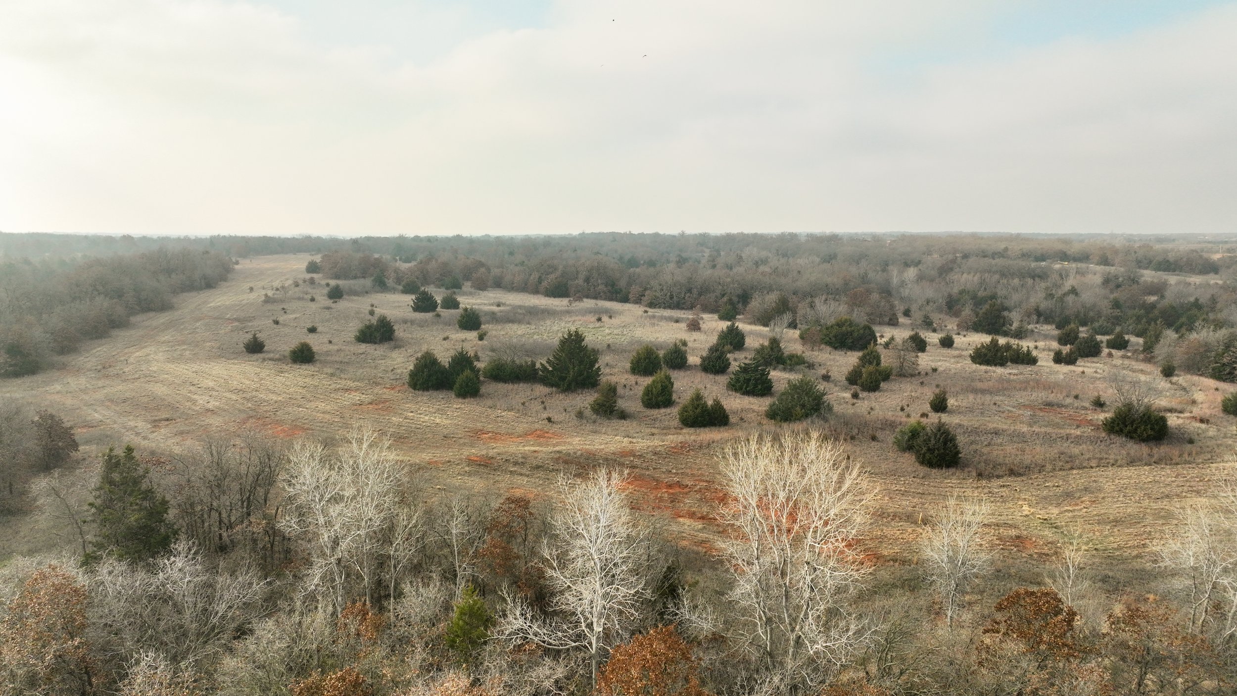 DJI_0140.jpg