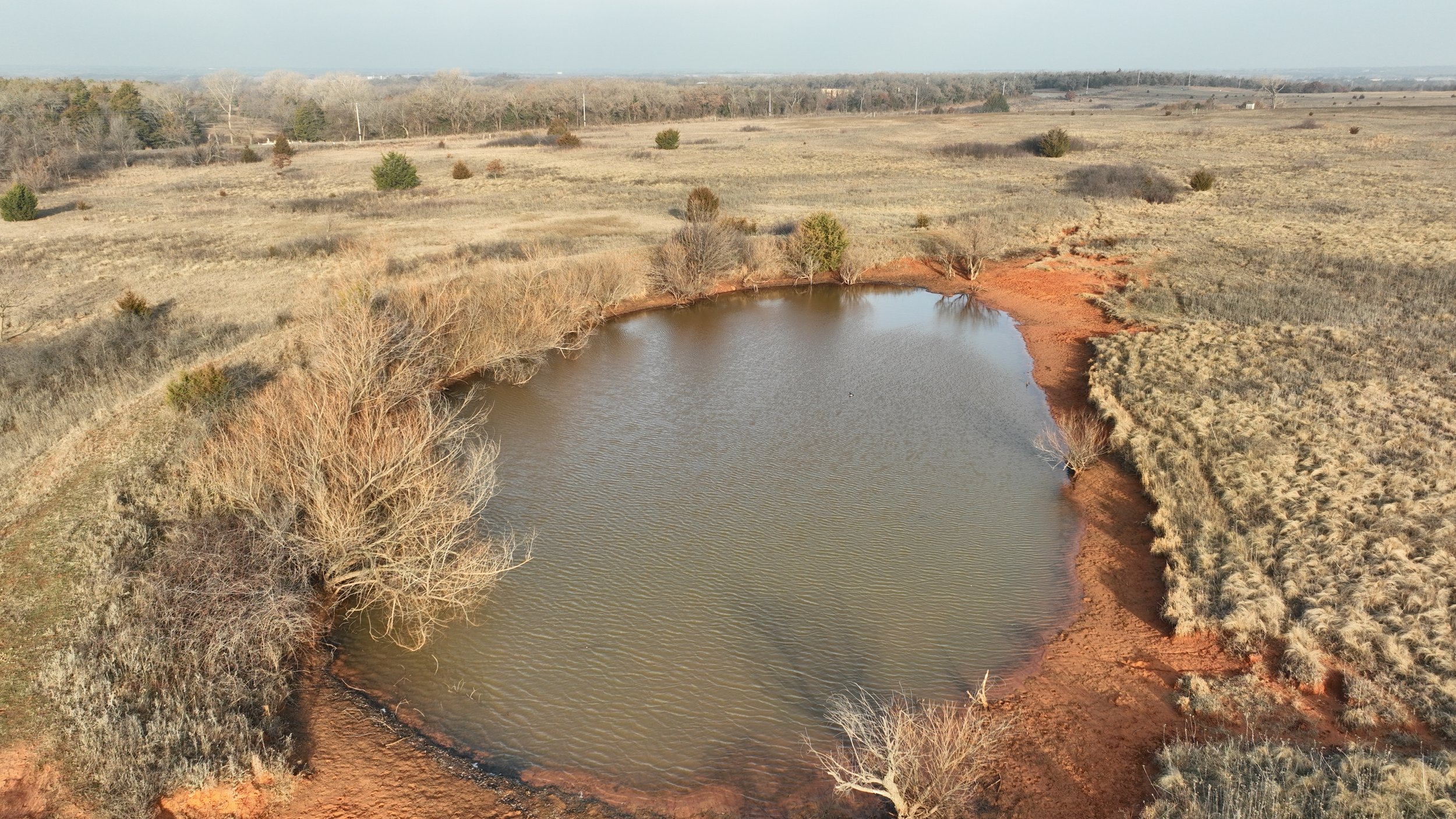 DJI_0137.jpg