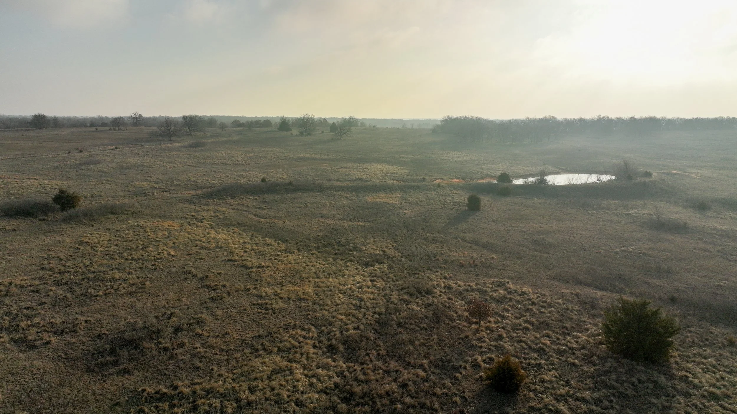 DJI_0133.jpg