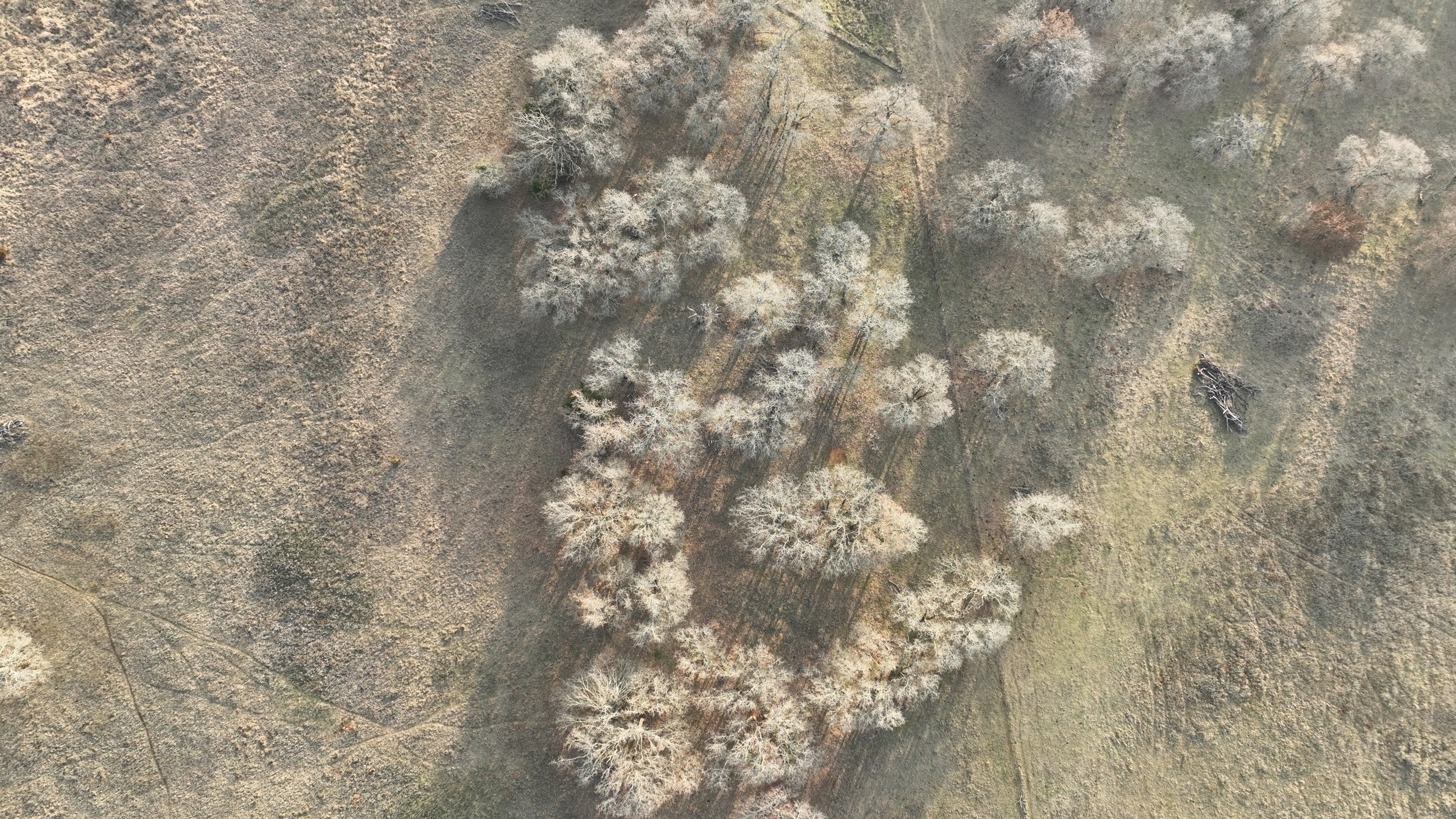 DJI_0129.jpg