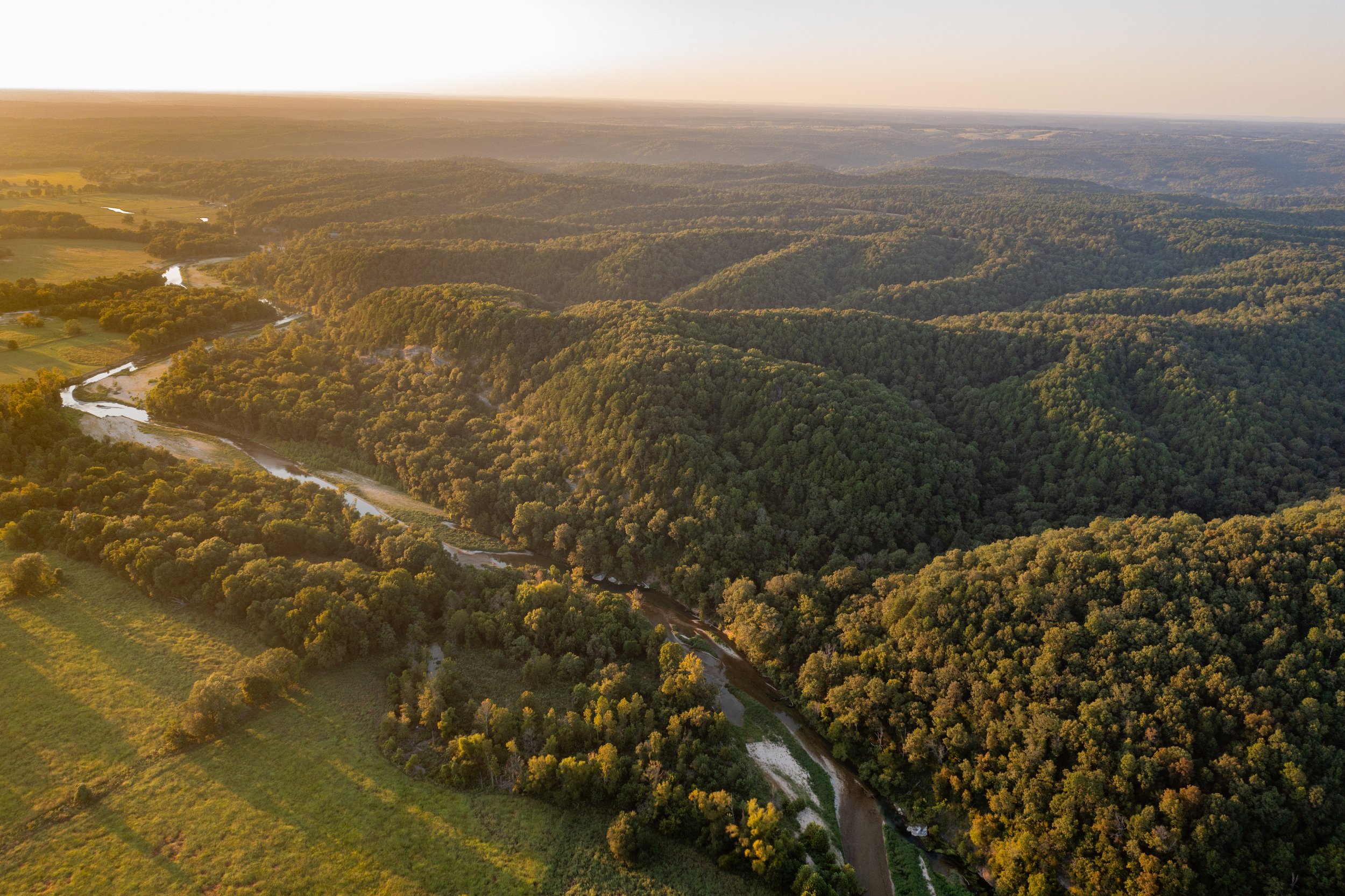 DJI_0893.jpg