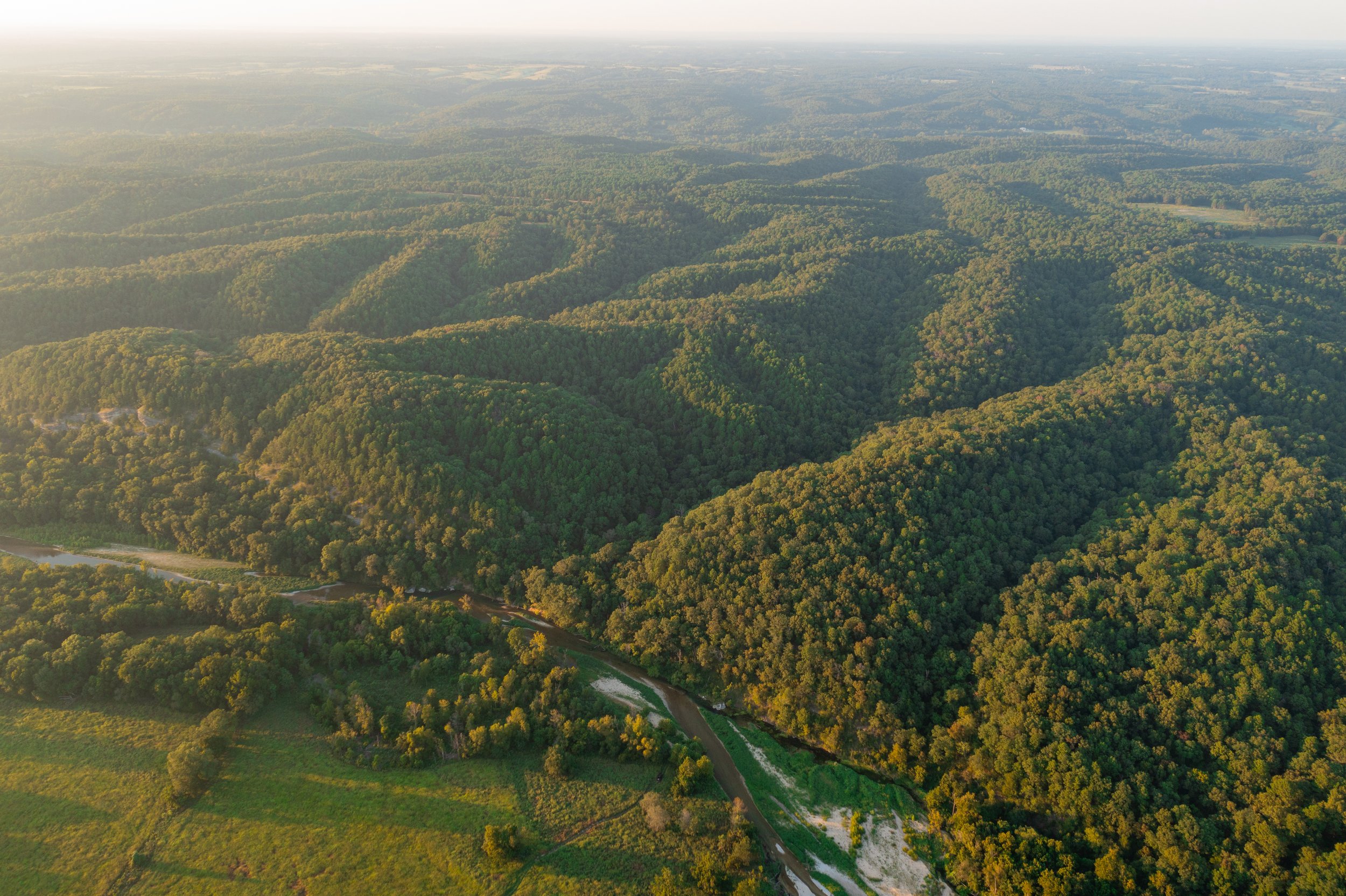 DJI_0887.jpg