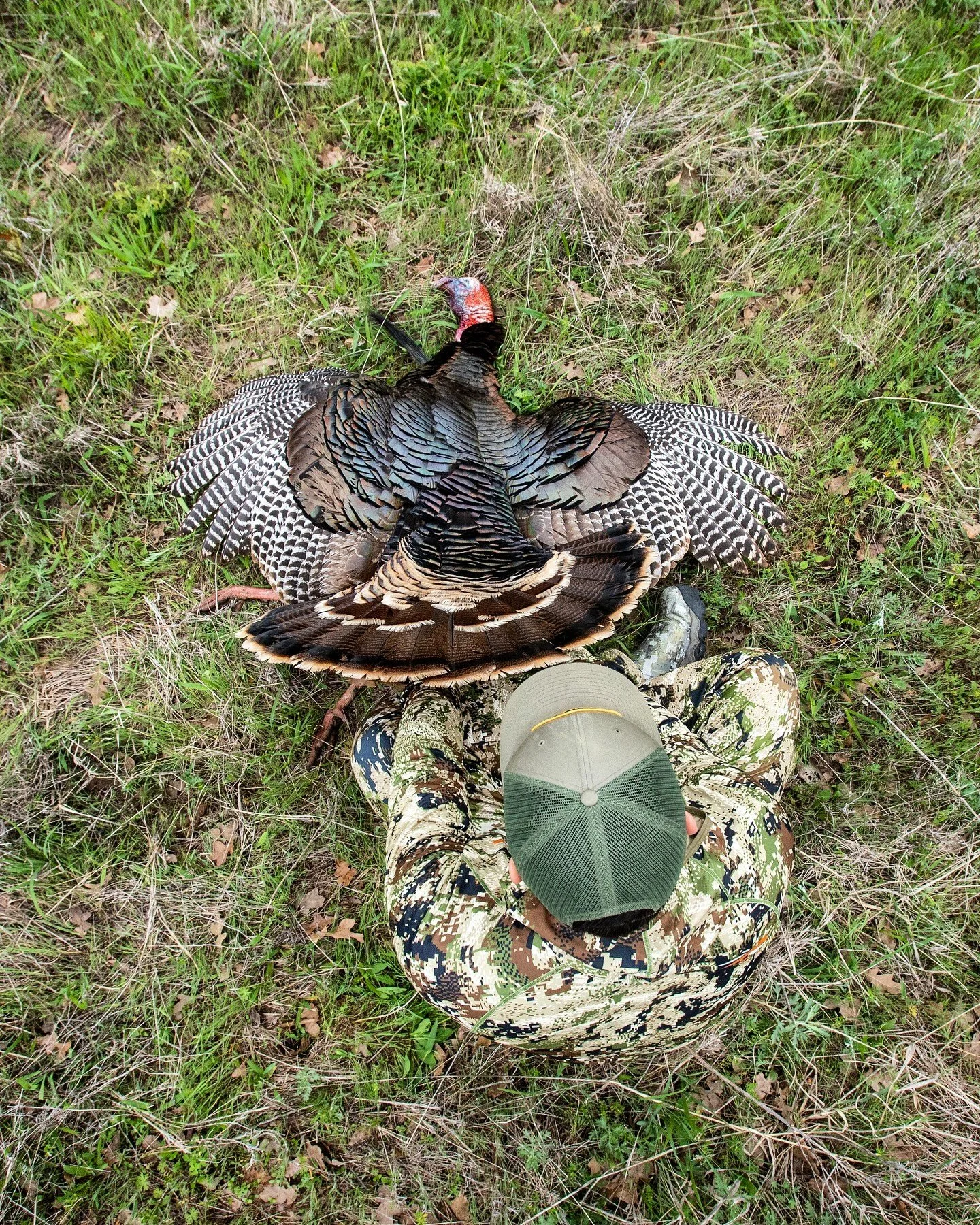 Real Estate in Grove, Oklahoma — Salt Plains Properties