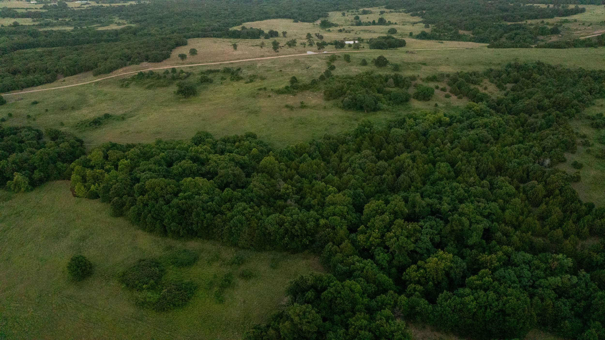 DJI_20240523221833_0030_D.jpg