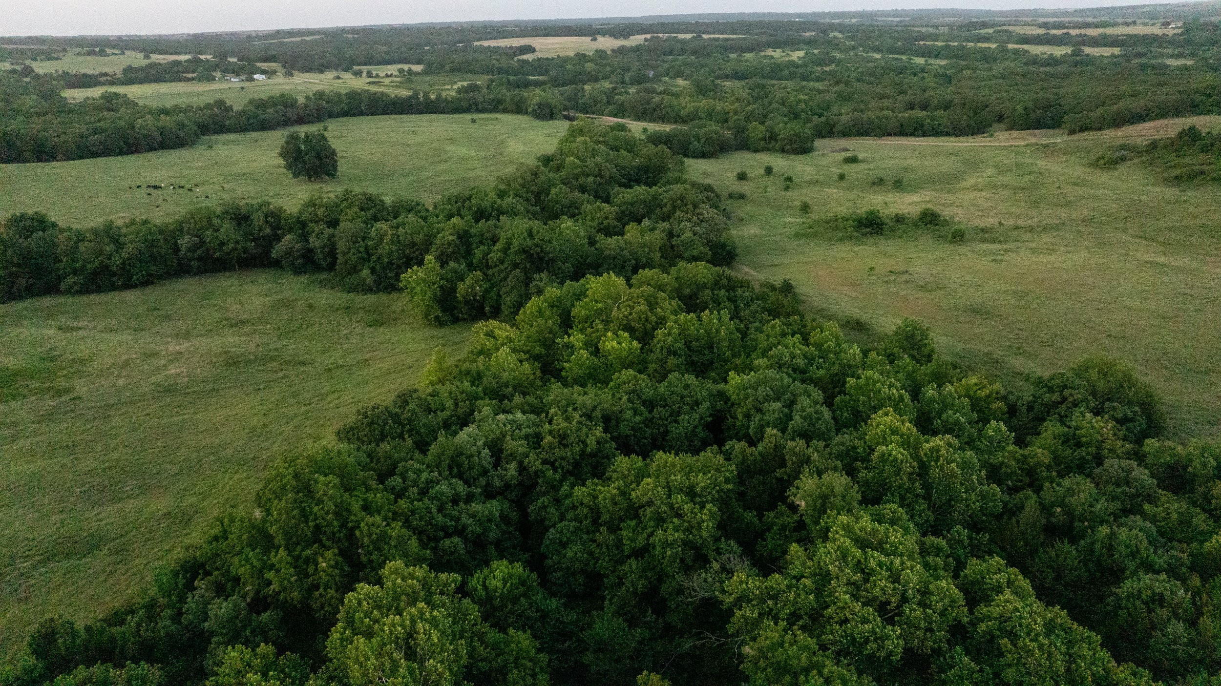 DJI_20240523221931_0031_D.jpg