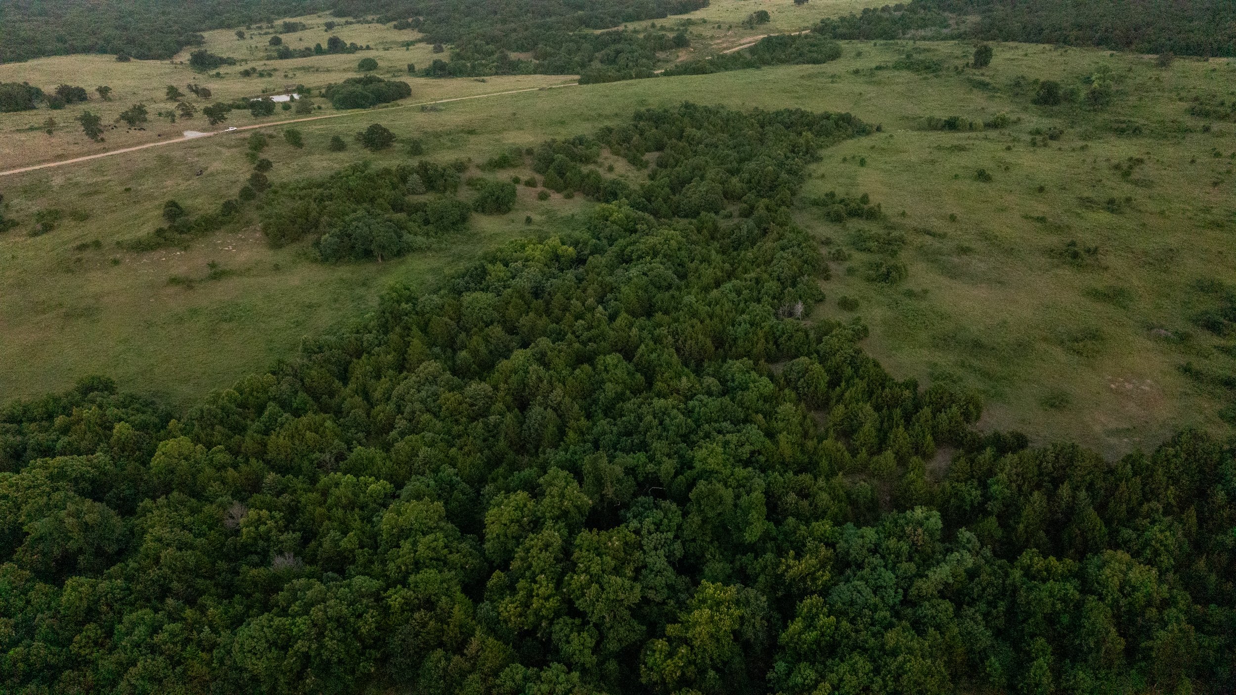 DJI_20240523221746_0029_D.jpg