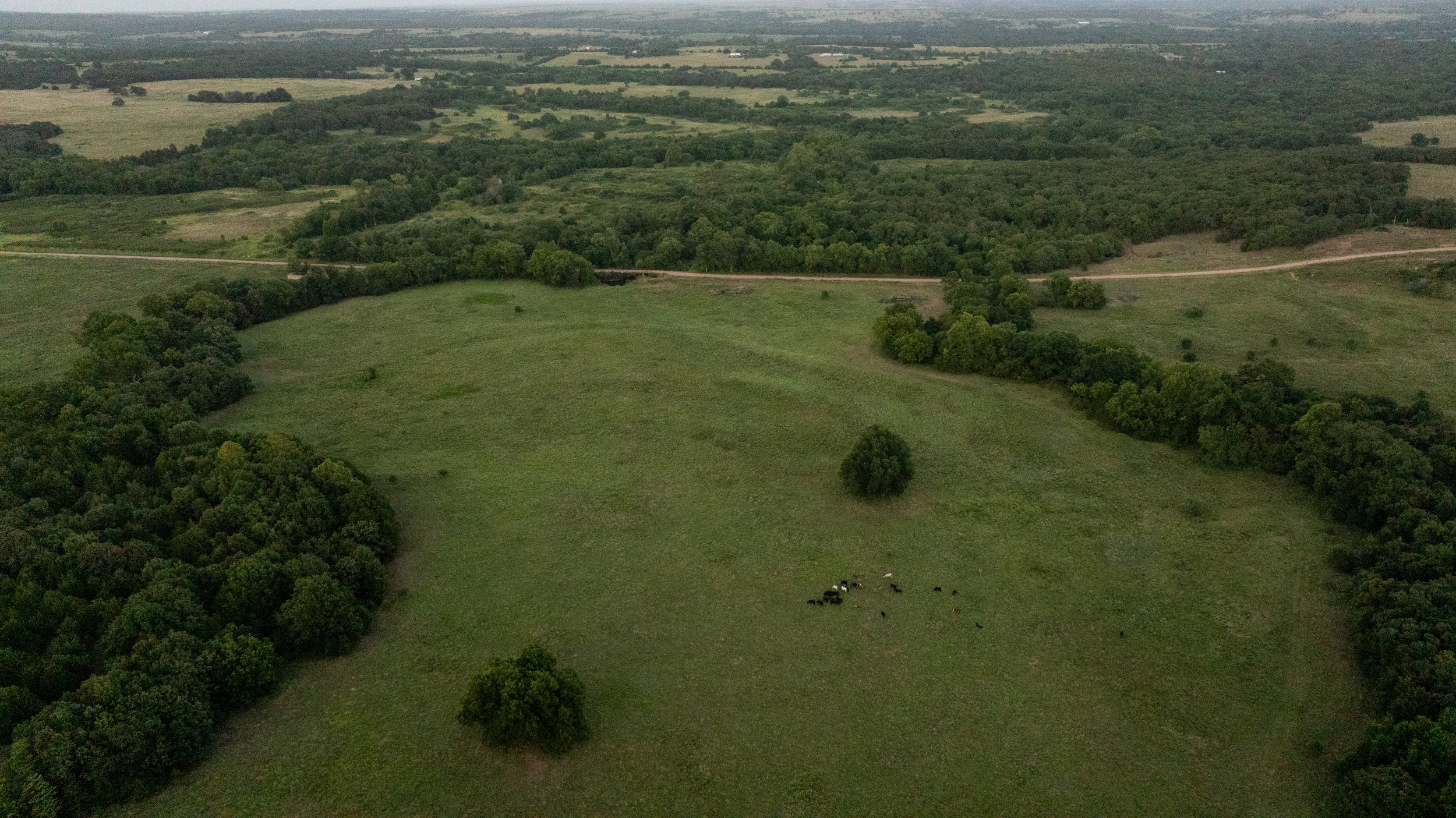 DJI_20240523221712_0027_D.jpg