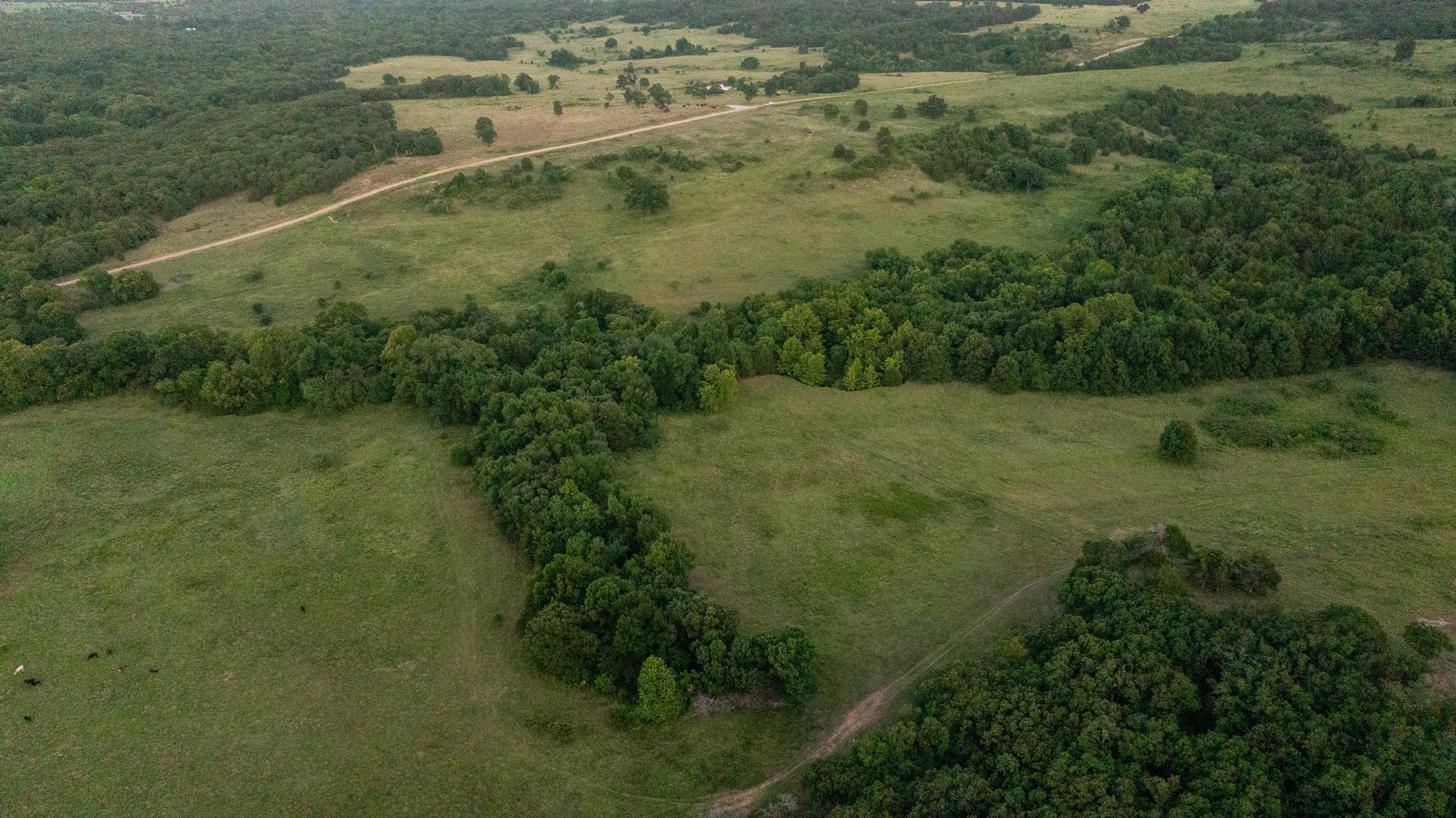 DJI_20240523221659_0025_D.jpg