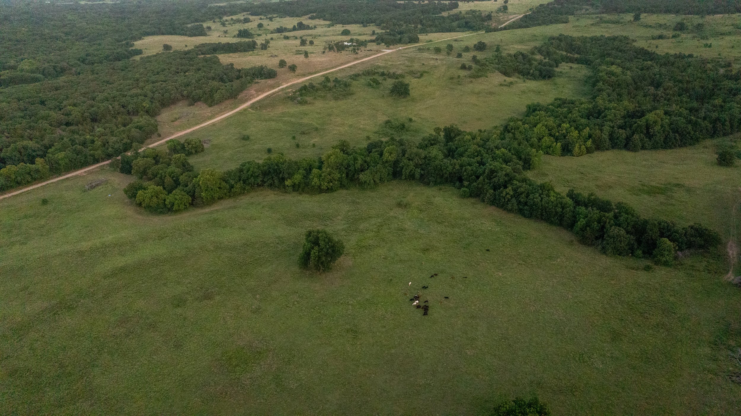 DJI_20240523221635_0024_D.jpg