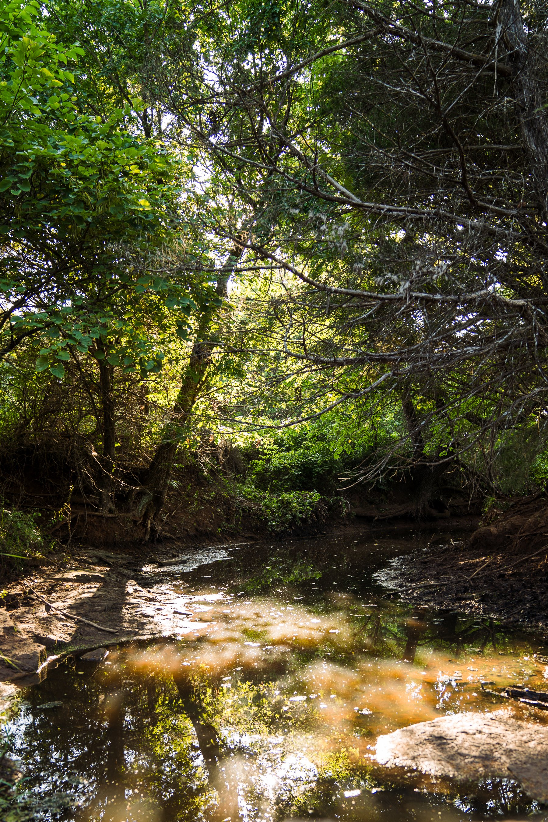 Payne County 240 (Creek) (2).jpeg