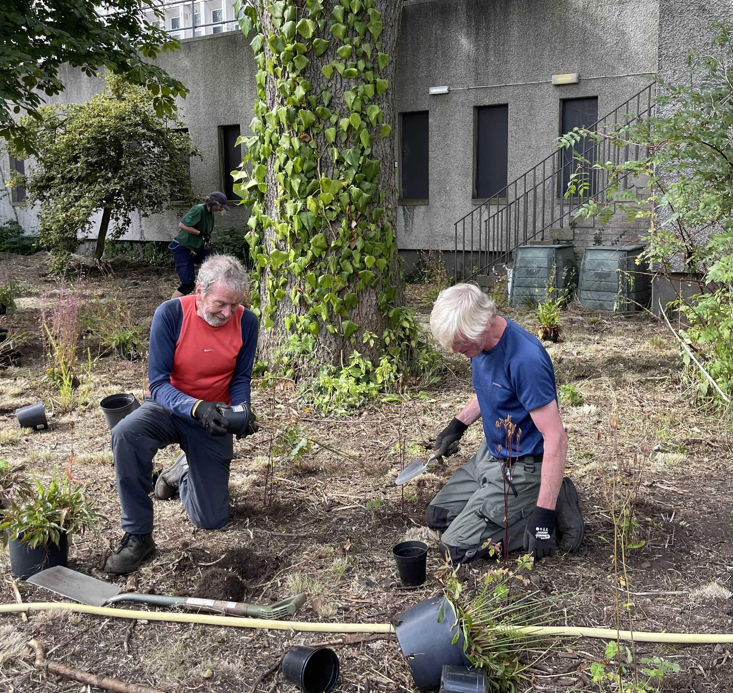 Planting a new area (Julie Young)