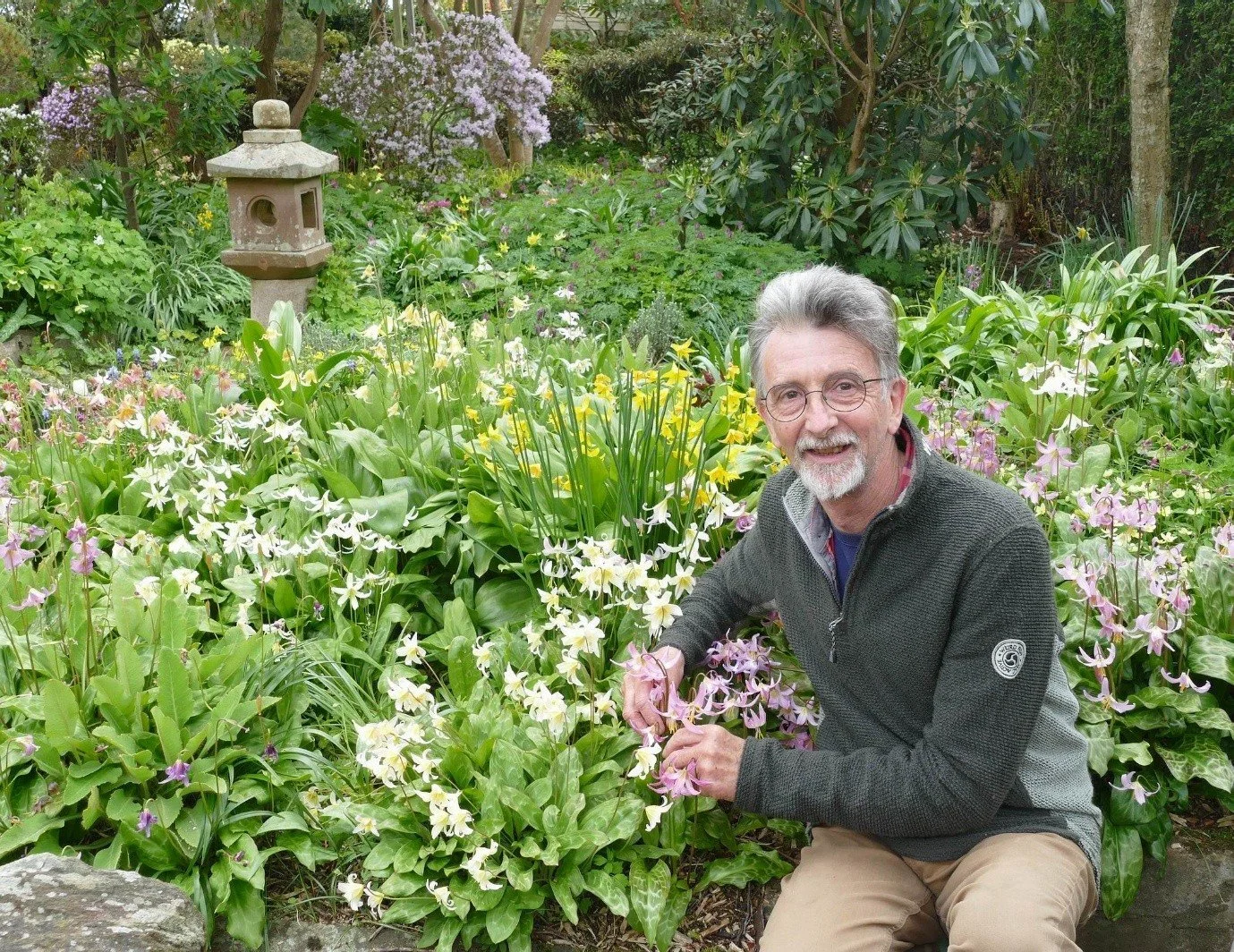Ian Young - Bulbs from seed to the garden