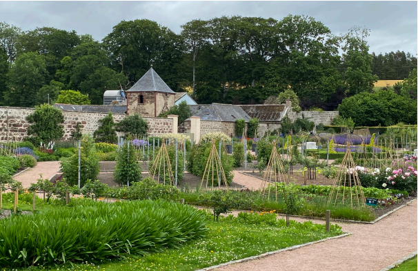 Gardeners' Question Time