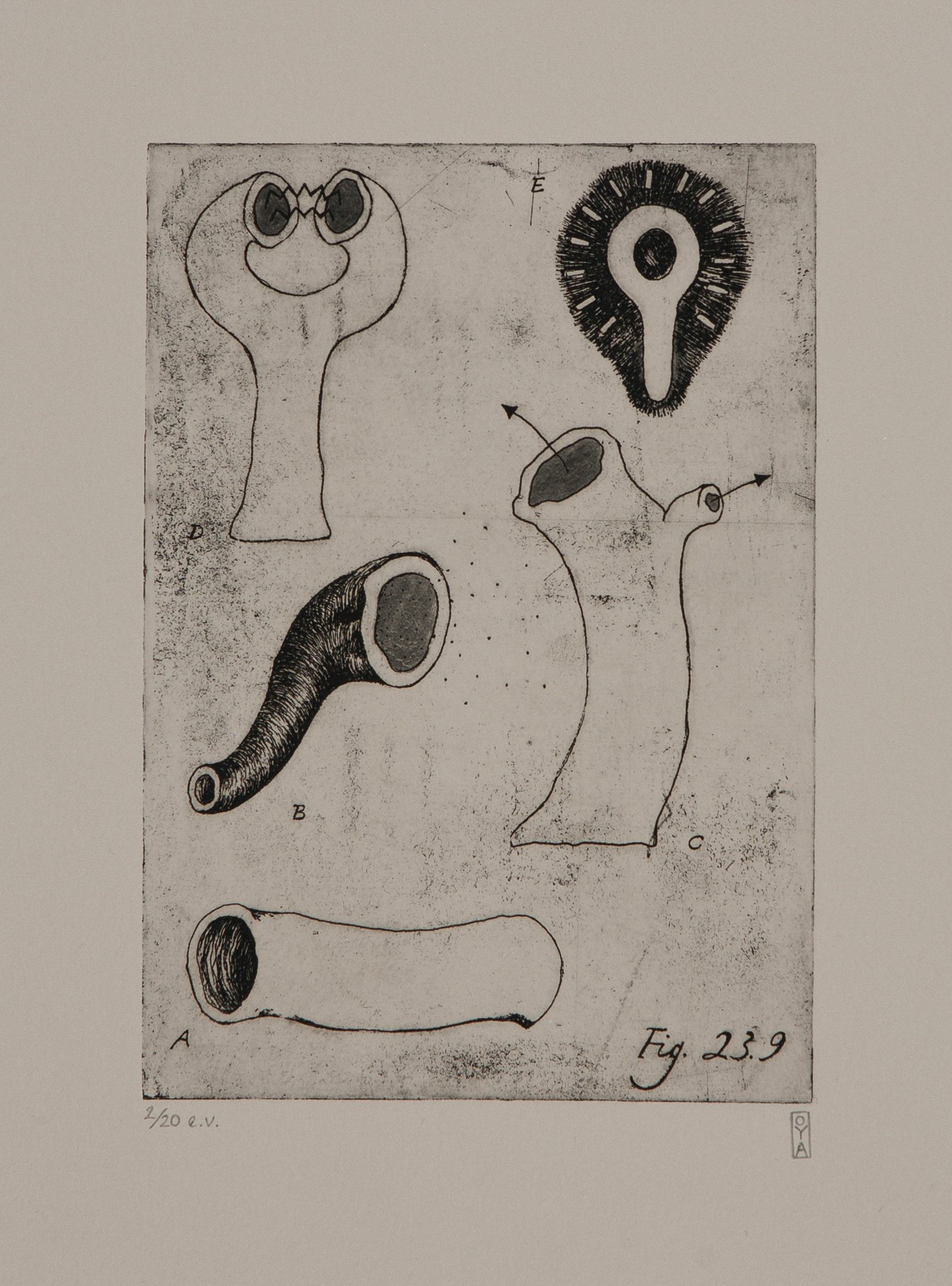    From The Book of Instant Knowledge; Fig. 23.9  , 2007, etching, varied, limited edition of 20 