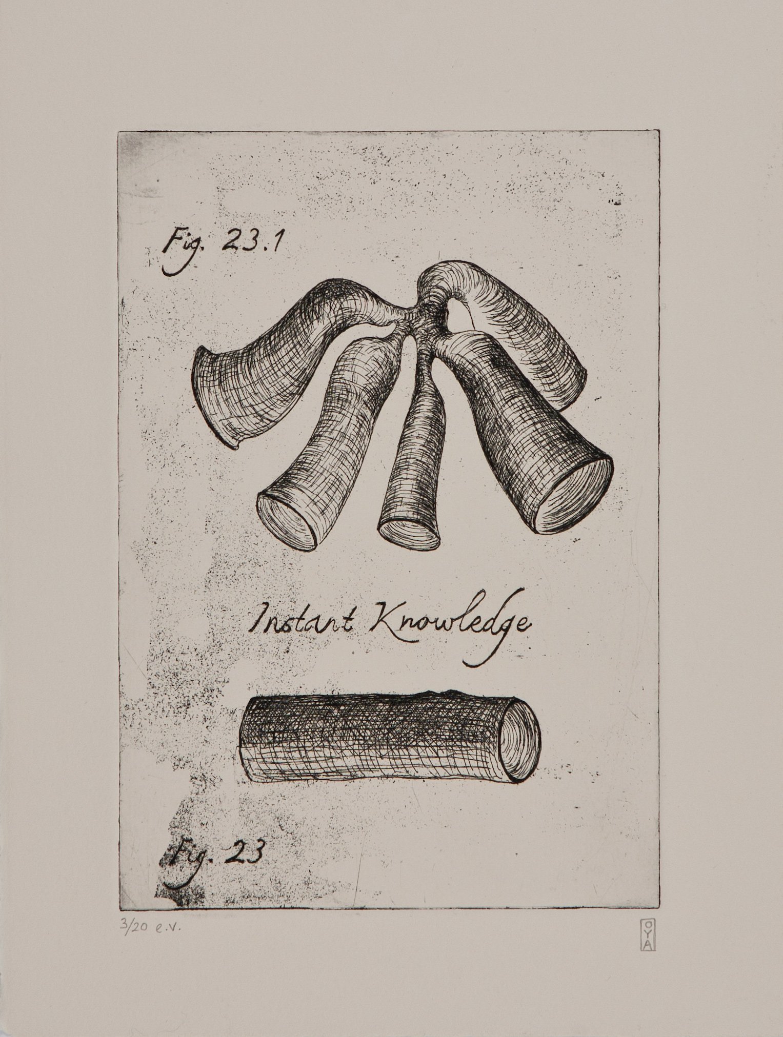    From The Book of Instant Knowledge; Fig.     23  , 2007, etching, varied, limited edition of 20 