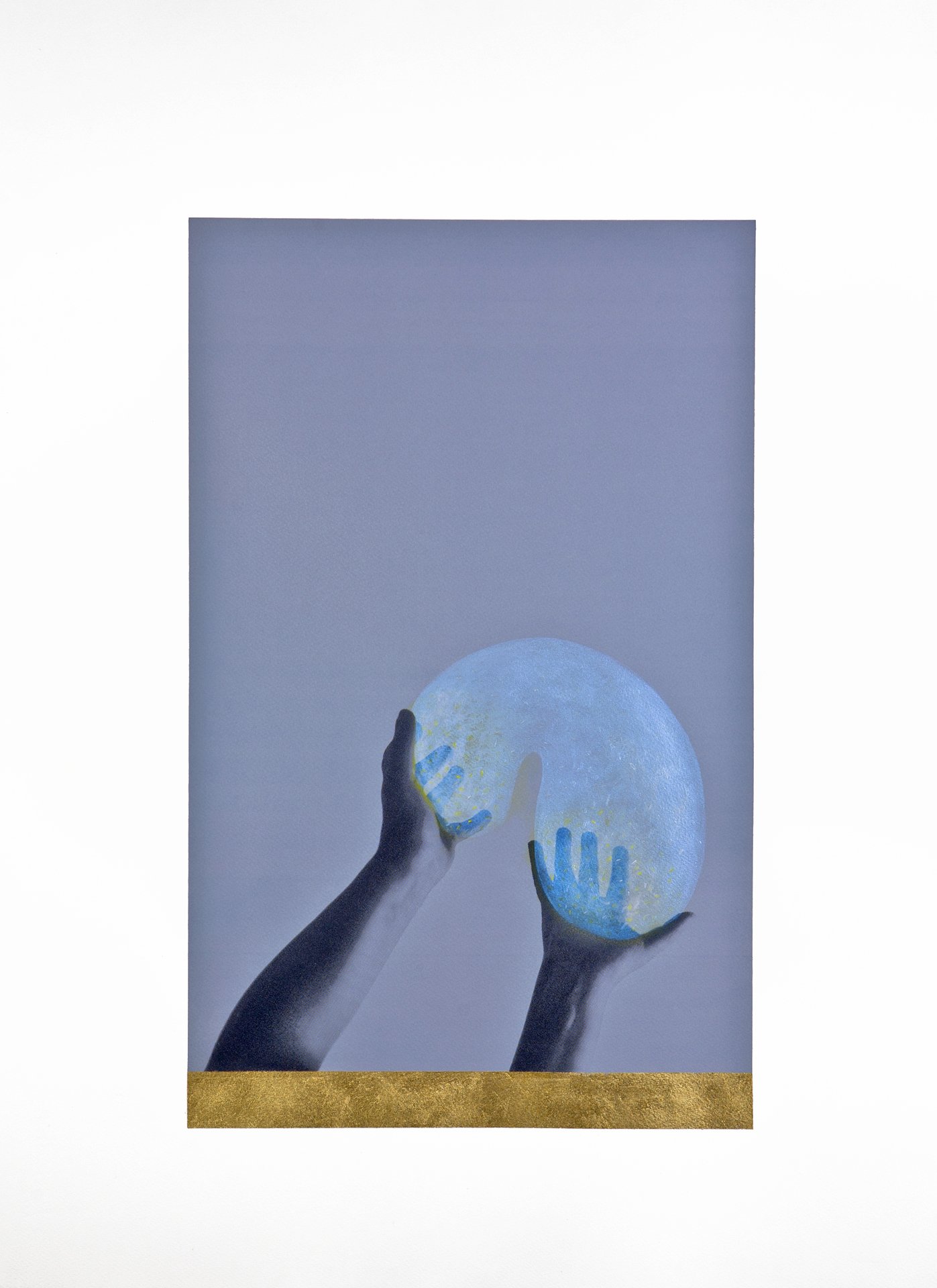    Cultivating No. 12  , 2012, silkscreen print and mixed media, 76 x 56 cm 