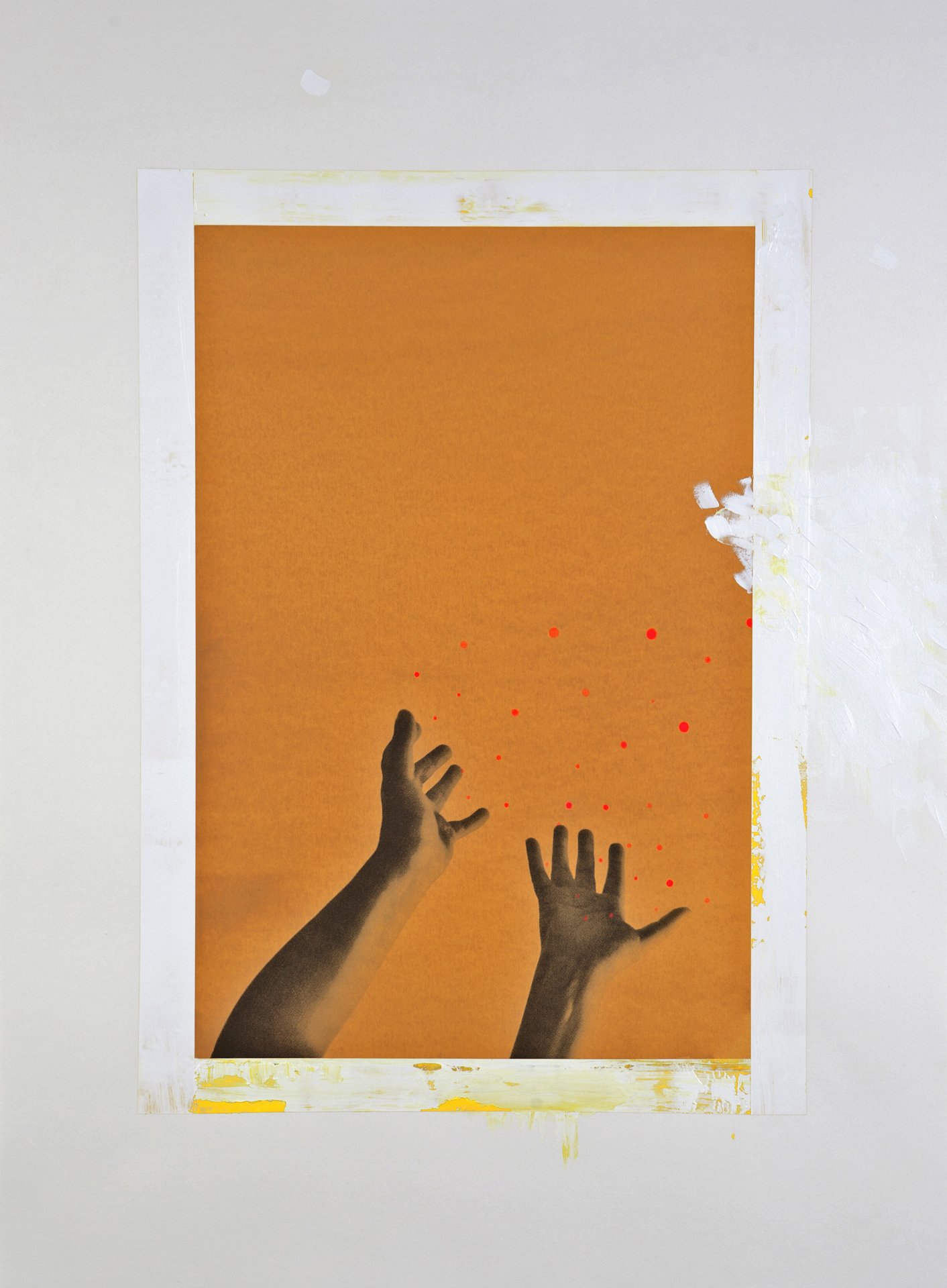    Cultivating No. 14  , 2012, silkscreen print and mixed media, 76 x 56 cm 