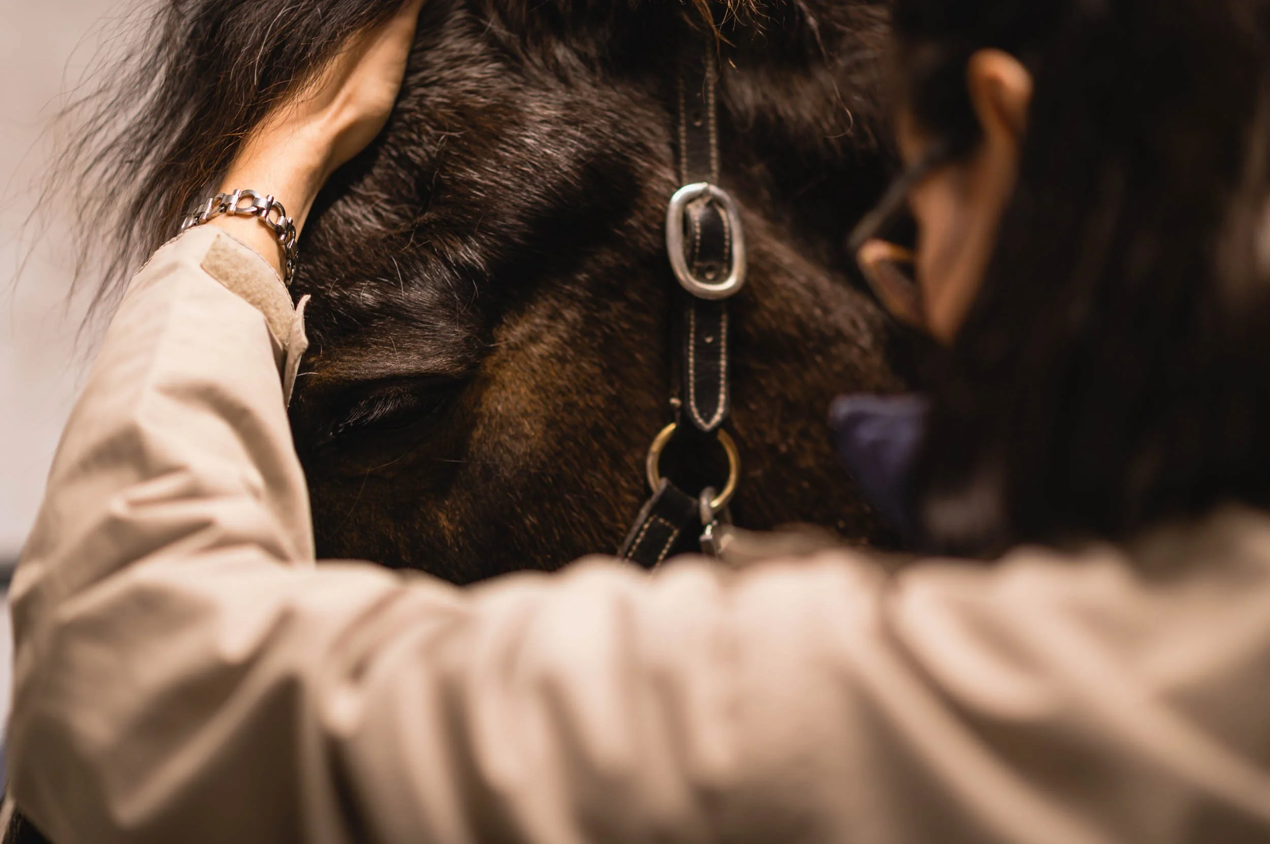 Tierkinesiologie Amacher