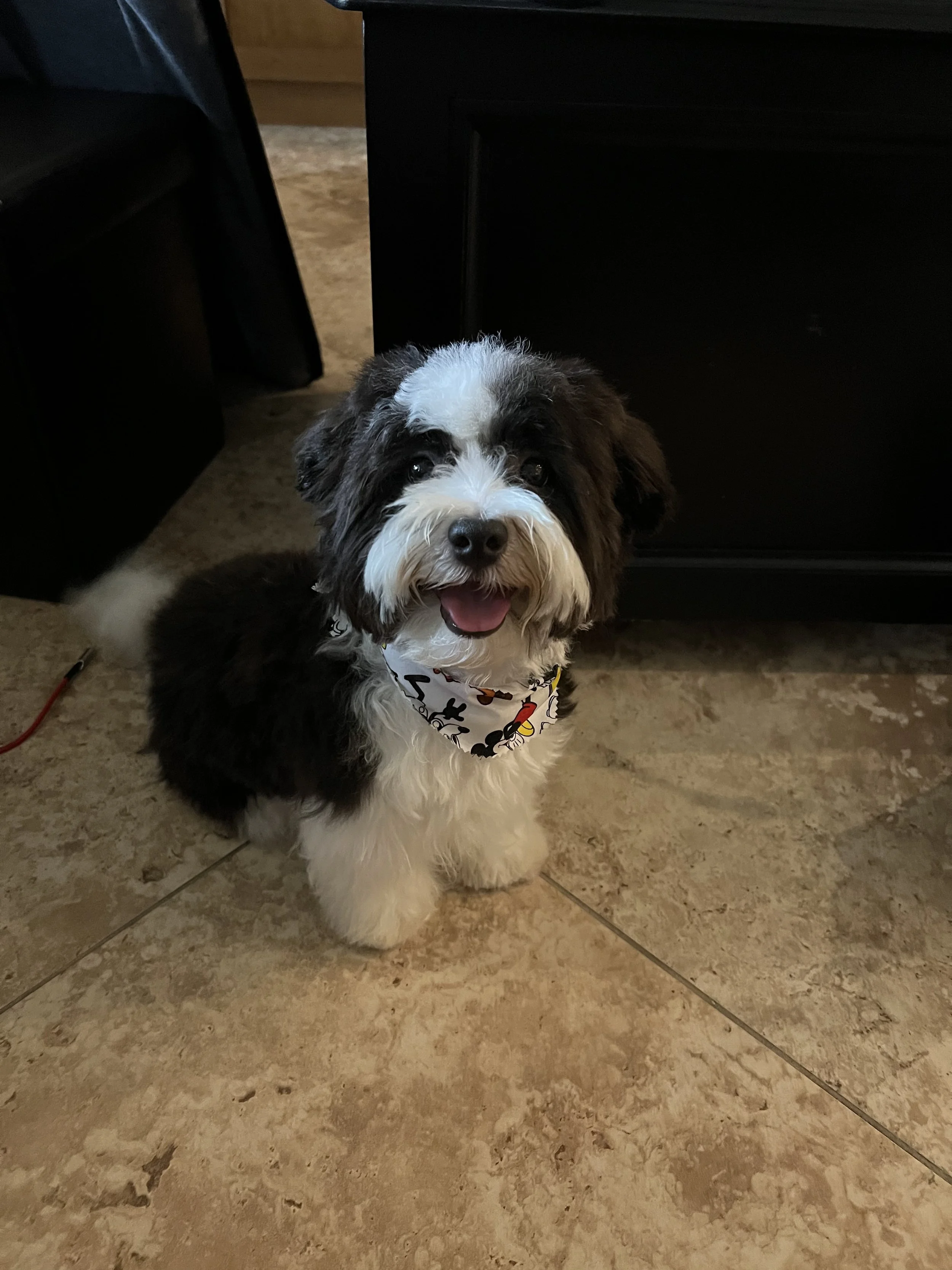 A5EE30B3-2DBA-4CC0-9155-B30D64B69B59 (1).jpeg