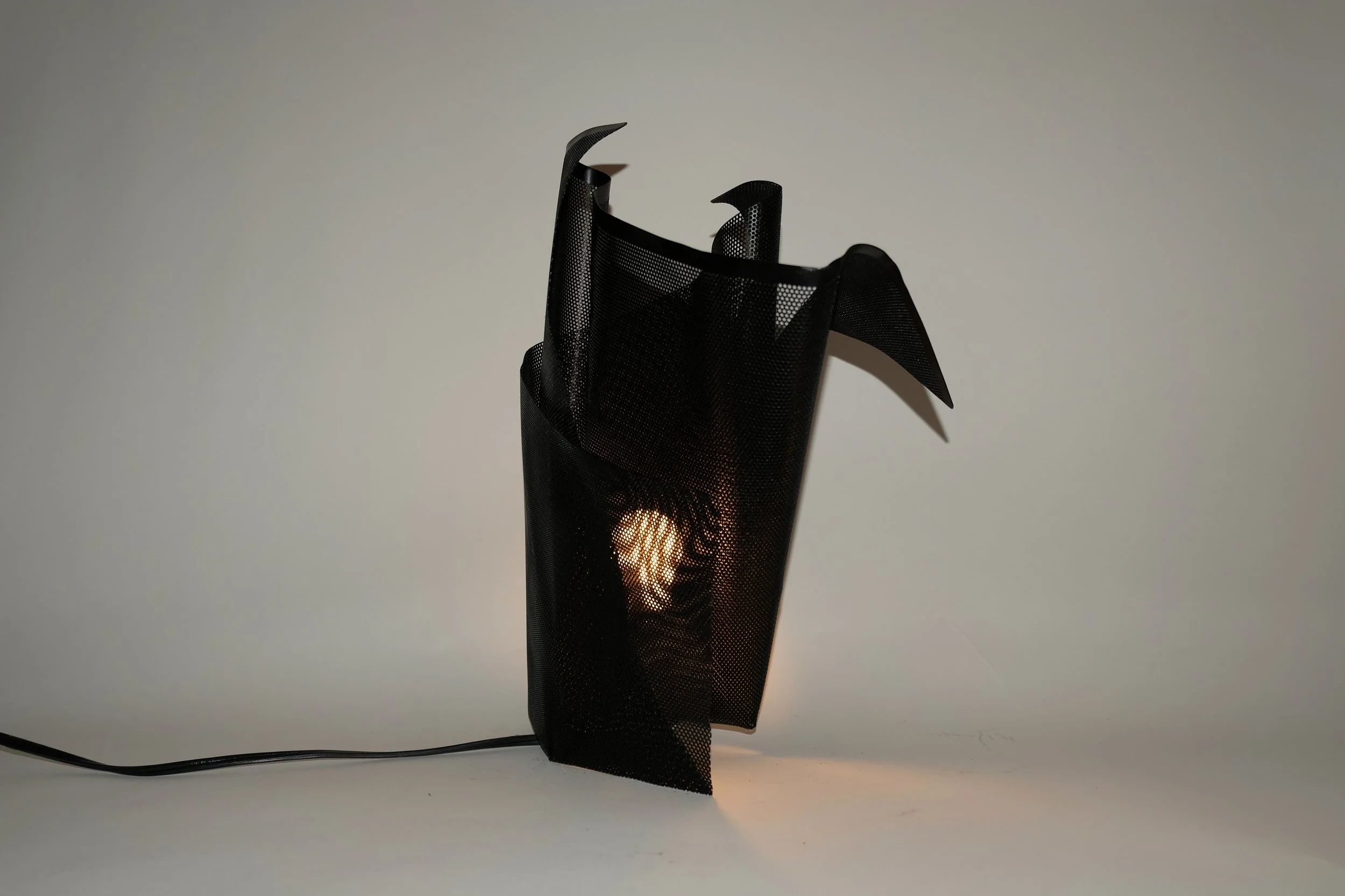 TL04 Black 1 Standing On Profile.JPG