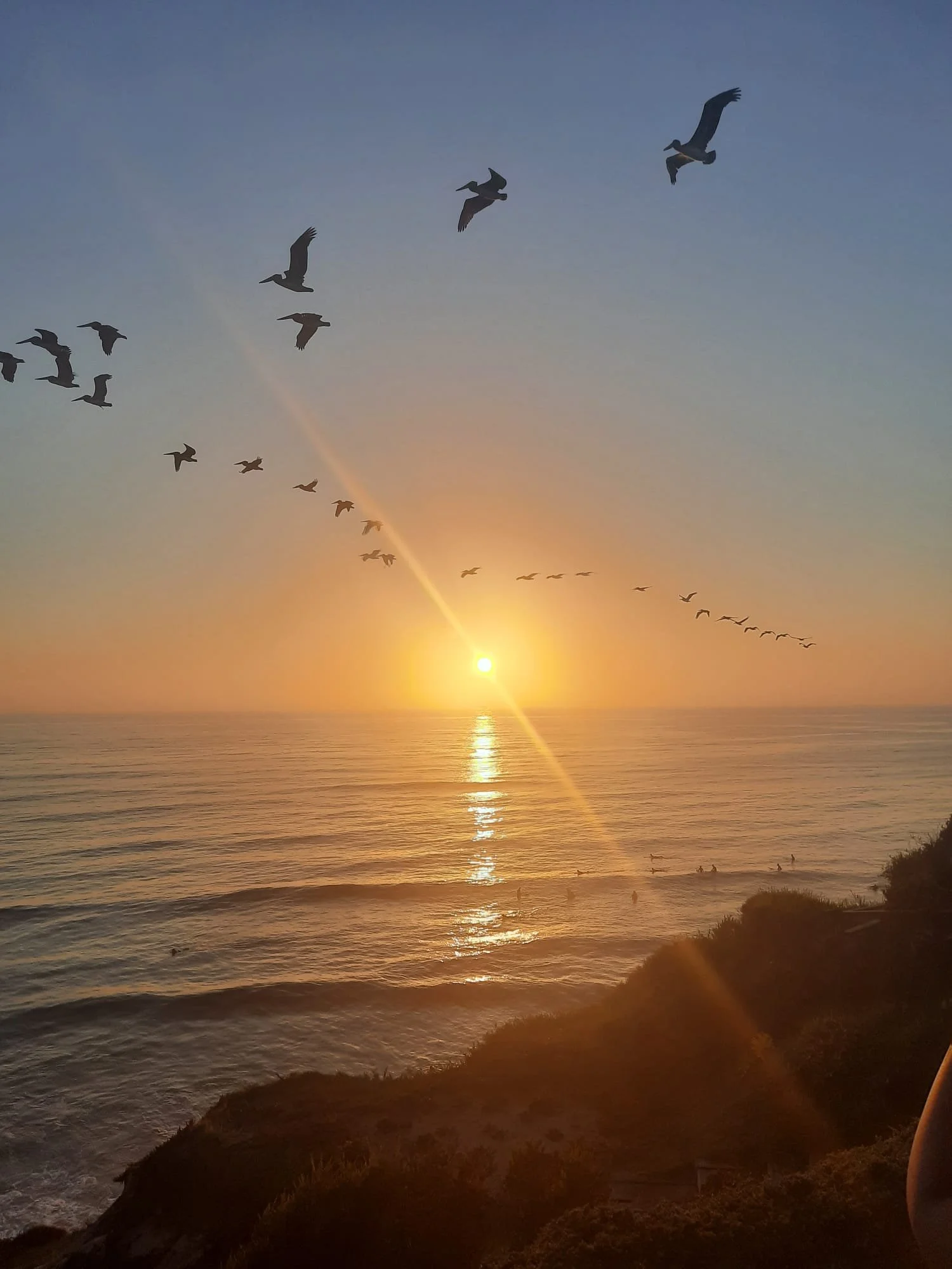 WhatsApp Image 2023-12-17 at 1.57.51 PM (3).jpeg