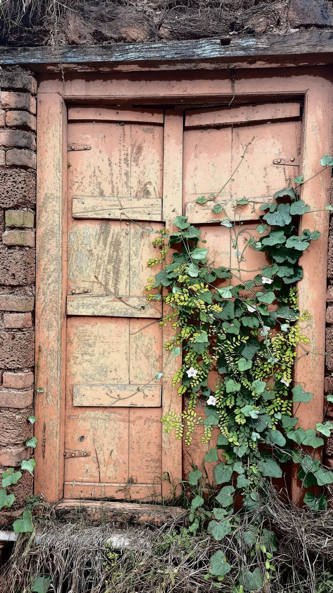 WhatsApp Image 2023-12-17 at 1.57.46 PM.jpeg