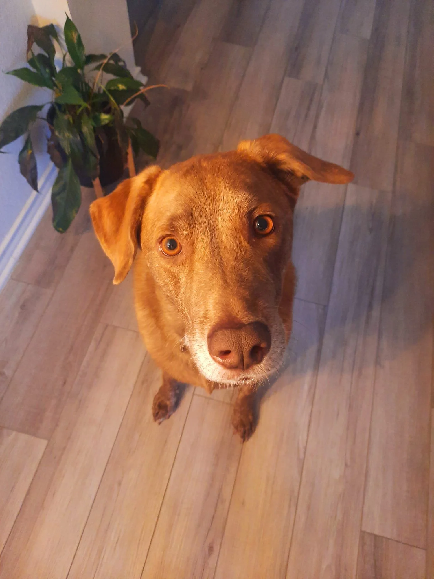 WhatsApp Image 2023-12-17 at 1.57.51 PM.jpeg