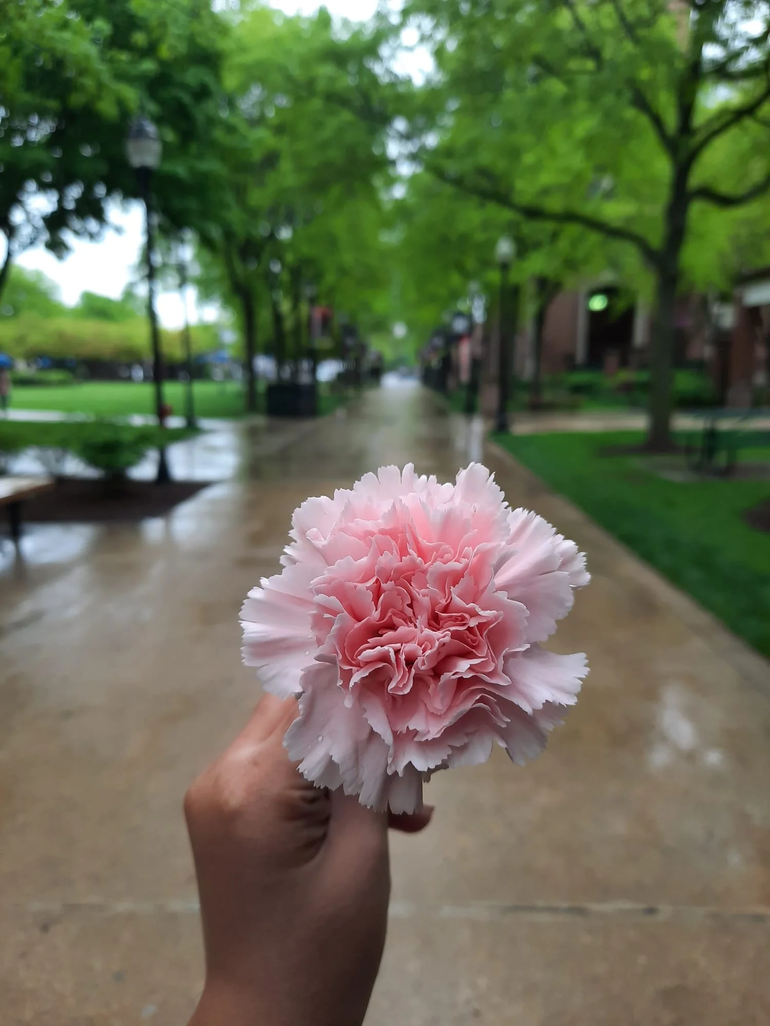 WhatsApp Image 2023-12-17 at 1.57.50 PM.jpeg