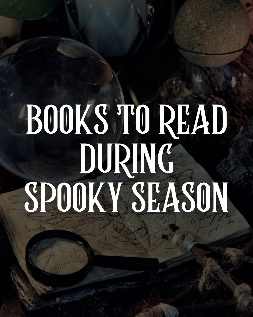 Looking for books to read this spooky season?

Try these books of mine that have dark/fall vibes ⤵️

✨ The Bone Witch, the first book in a complete urban fantasy trilogy with enemies to lovers, witches, and slow burn romance

🐺 Rabid, a standalone d