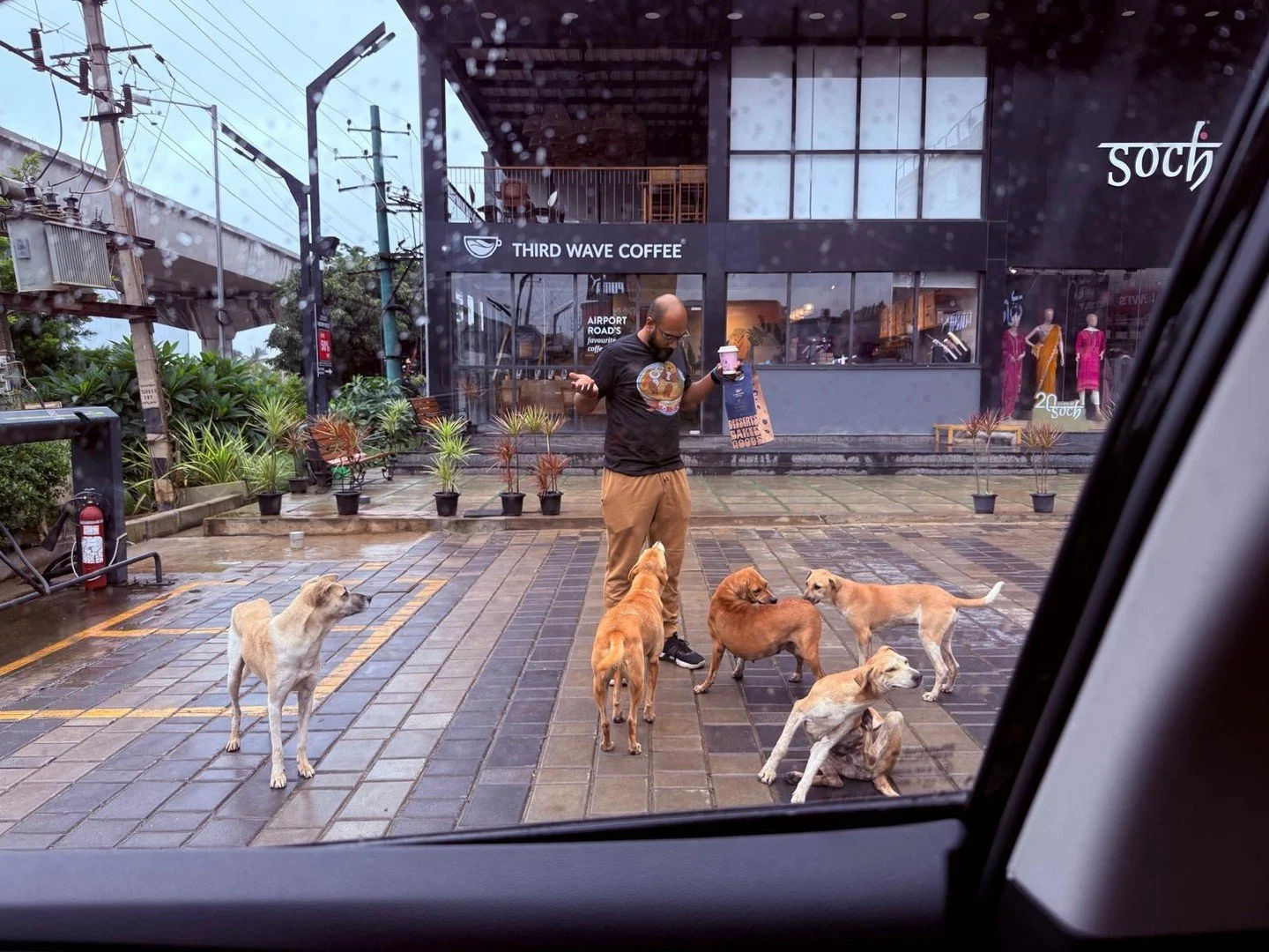 Life in India ✨

We stopped to get some breakfast and the street dogs wanted some too. We, of course, obliged. 😂🥰

What else do you want to see about living in India?

#ivyasher #romantasyauthor