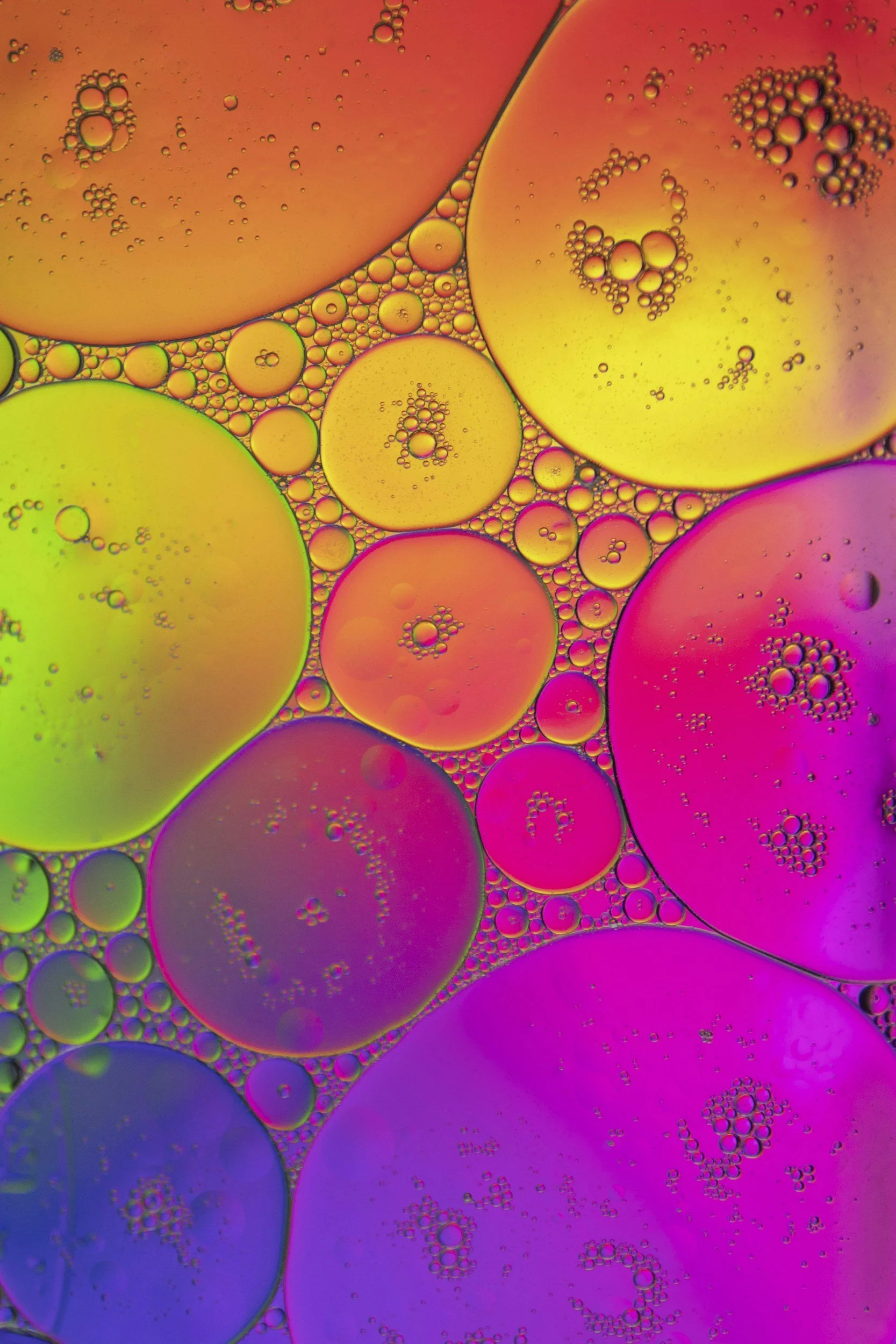 Colorful circles of different sizes