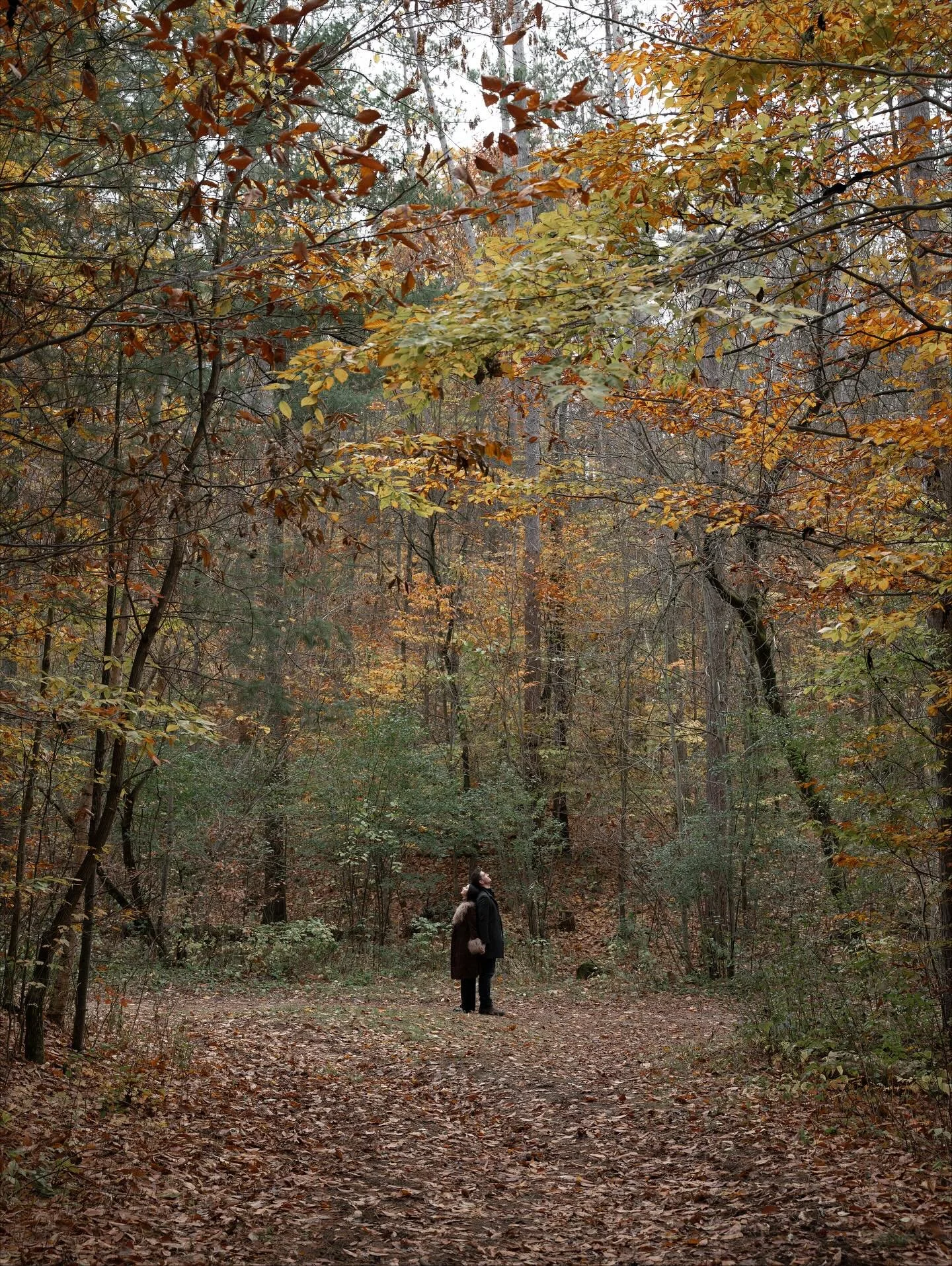 Dream lover so I don&rsquo;t have to dream alone💭🫶🏼
-
-
-
#torontoweddingphotographer #torontoweddingphotography #gtaweddingphotographer #gtaweddings #torontowedding #torontoengagement #fallengagement