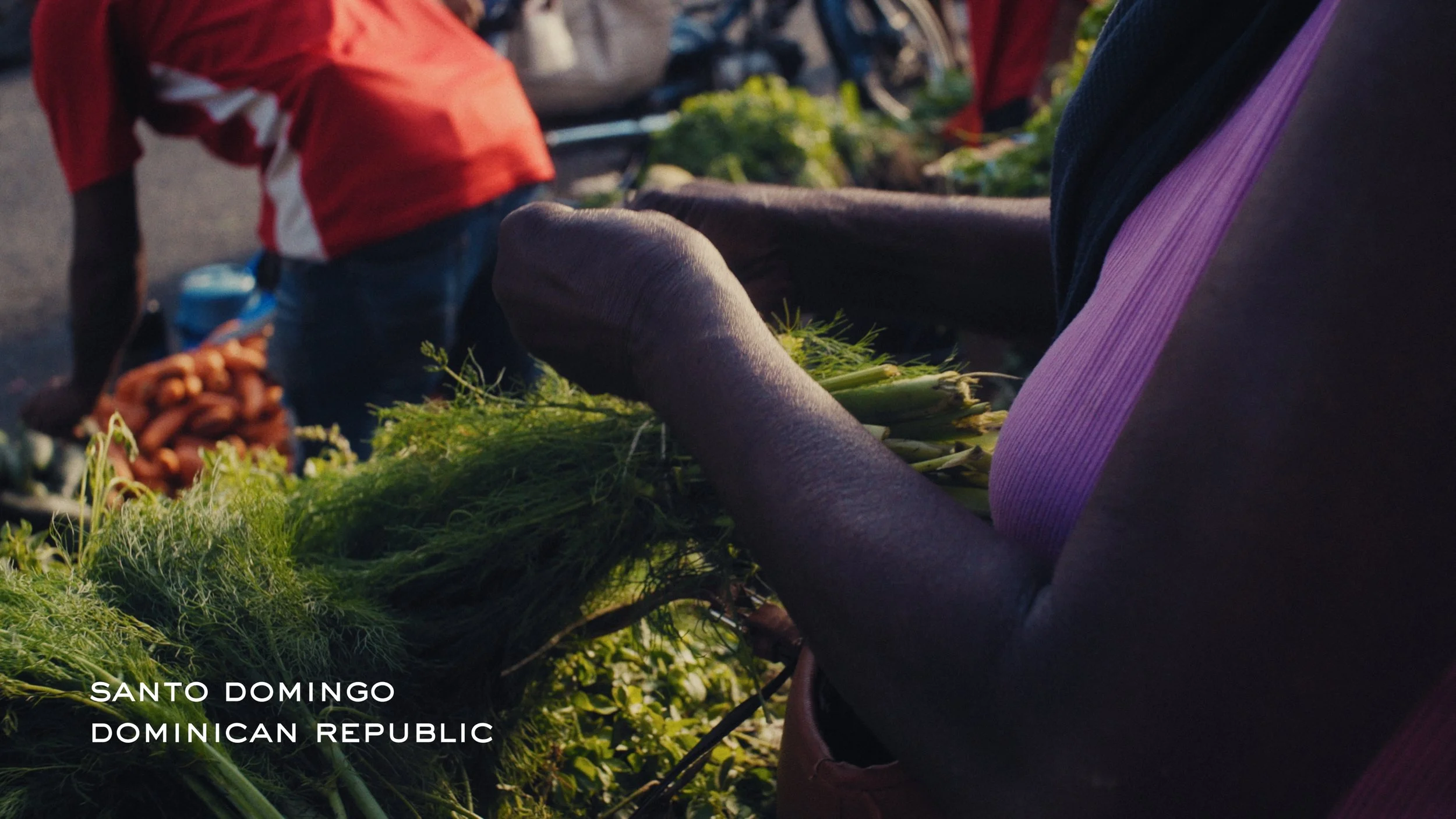 Still 2026-01-12 142513_2.2.1.jpg