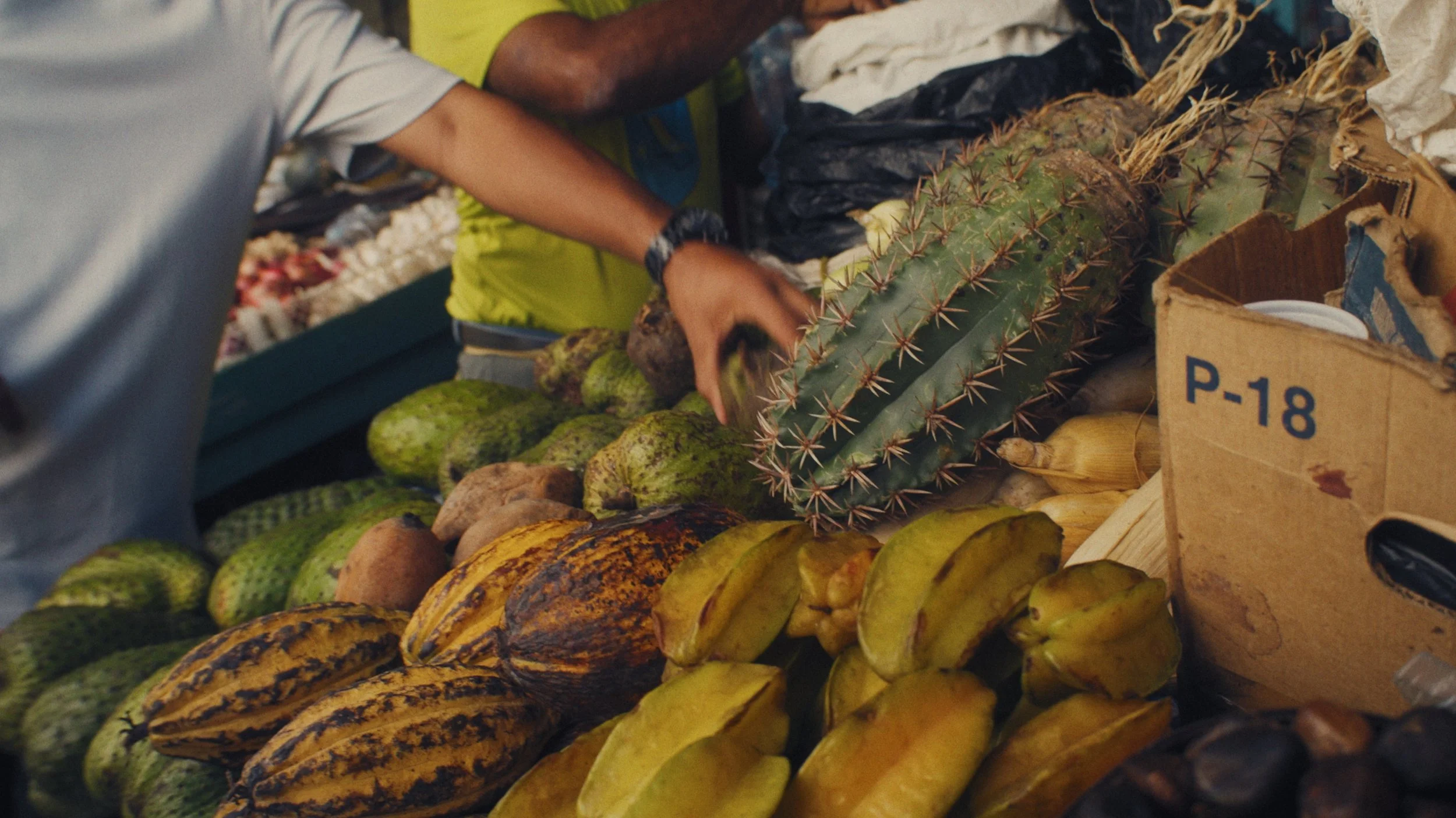 Still 2026-01-12 142500_2.6.1.jpg