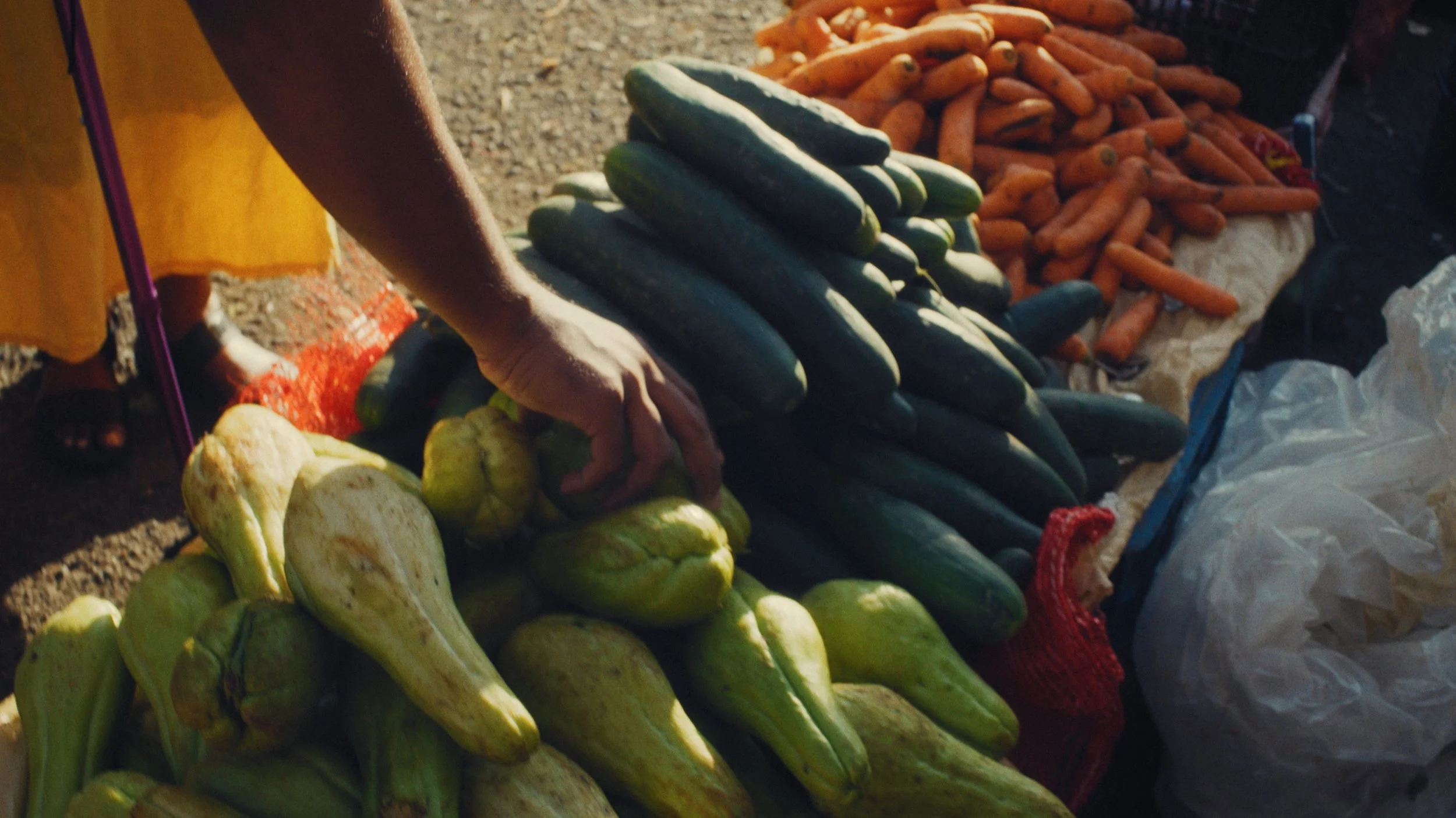 Still 2026-01-12 142543_2.11.1.jpg