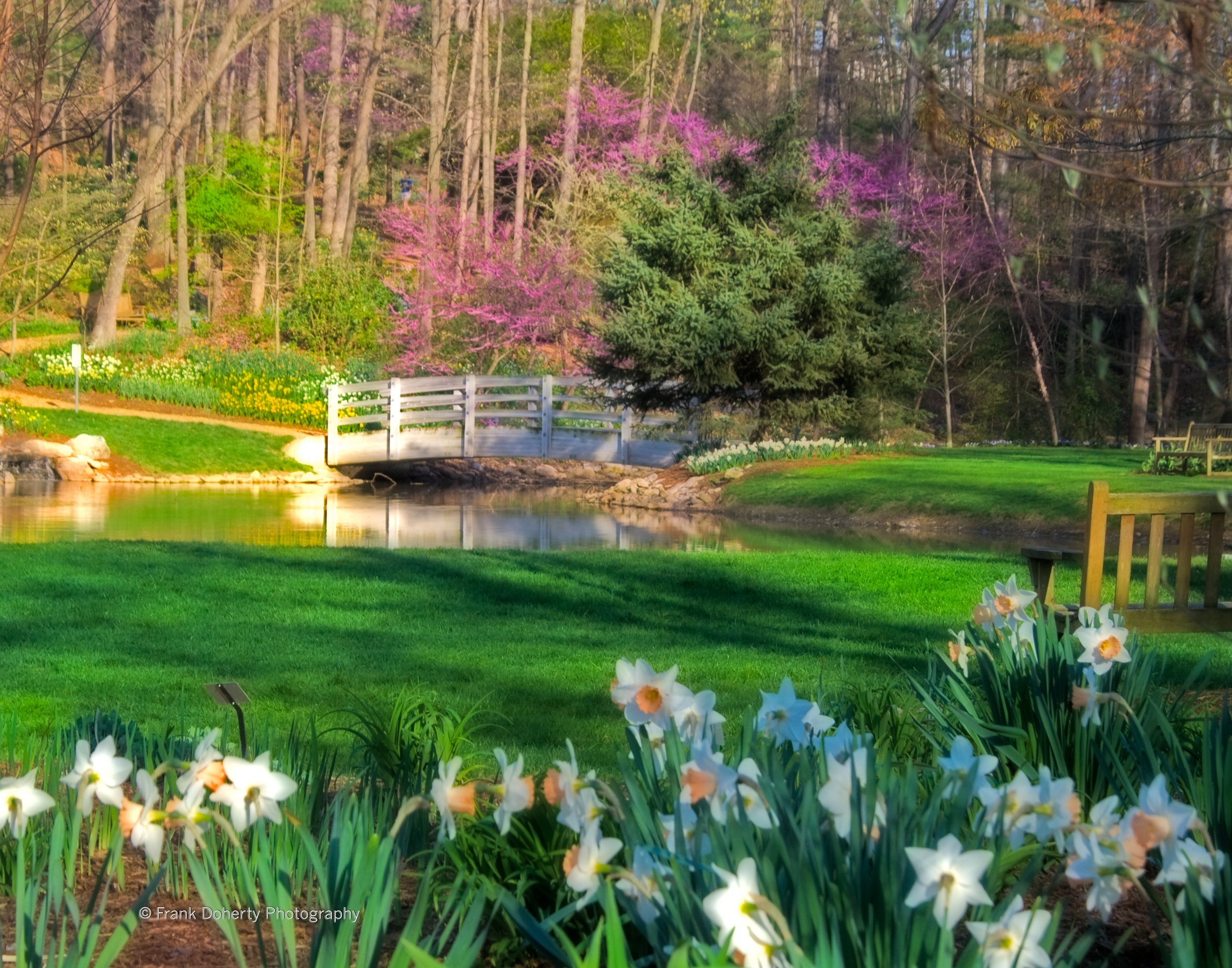 arboretum-spring.jpg