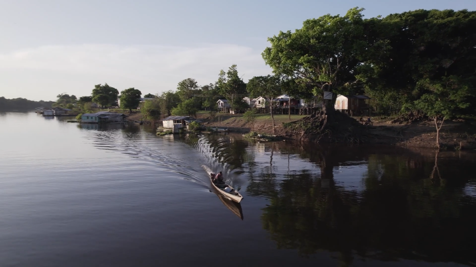 AmazÔNIA: NOVAS HISTÓRIAS
