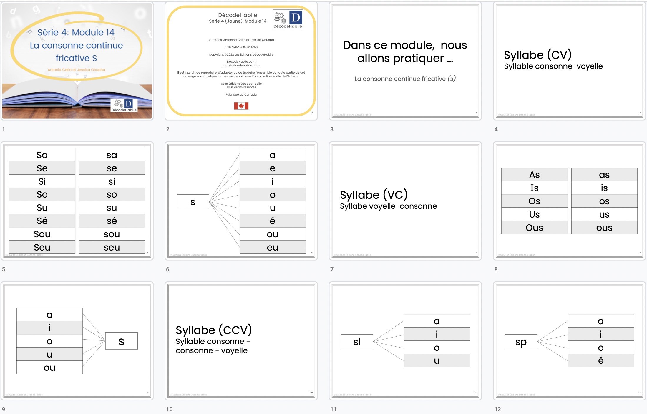Series 4 Module 14 - Sample.jpg