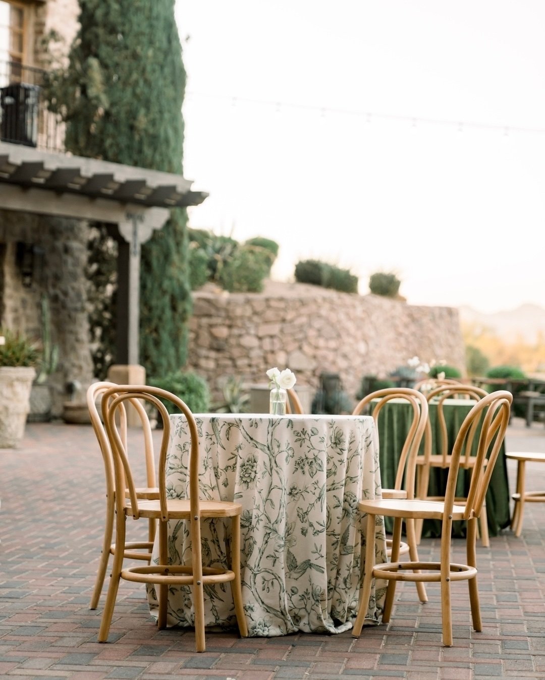 Perfectly paired cocktail hour seating with our Cora Dining Chairs🤍🌿
&bull;
Planner: @shineeventsaz
Venue: @superstitionmtnweddings
Photographer: @megancaryphotography
Videography: @kylehustis
Floral Design: @floralsbykendra
Linen: @nuagedesignco
&