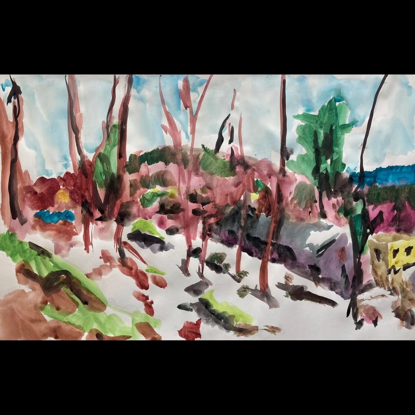 March 22, Central Vermont Refugee Action Network's March Arts Marathon. Please sponsor! Link in bio. https://givebutter.com/MAM2026/glenhutcheson
Camera Obscura Transcription 1, 2026, watercolor on paper, 22" x 14". Made using a camera obsc