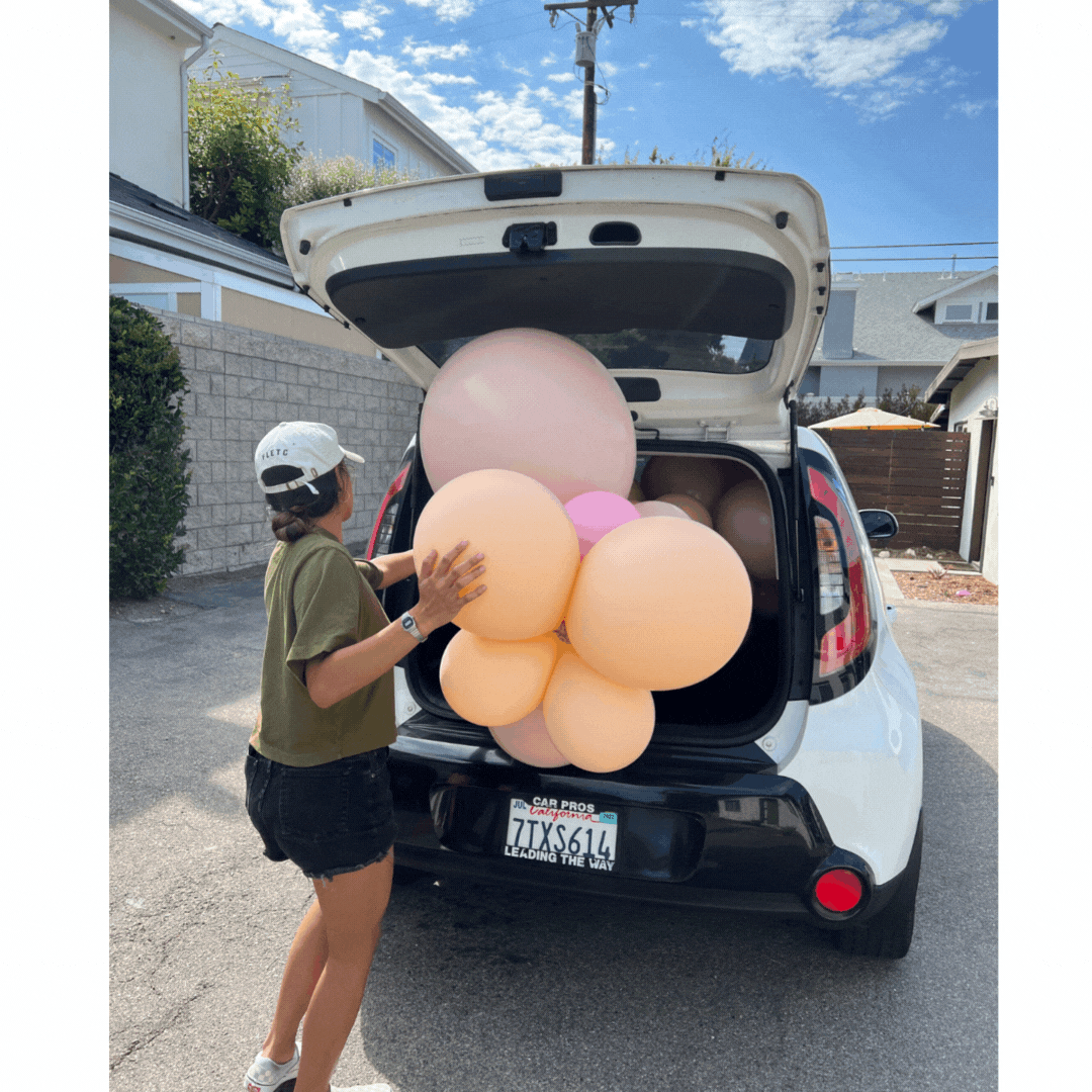 Grab and Go Balloon Garland