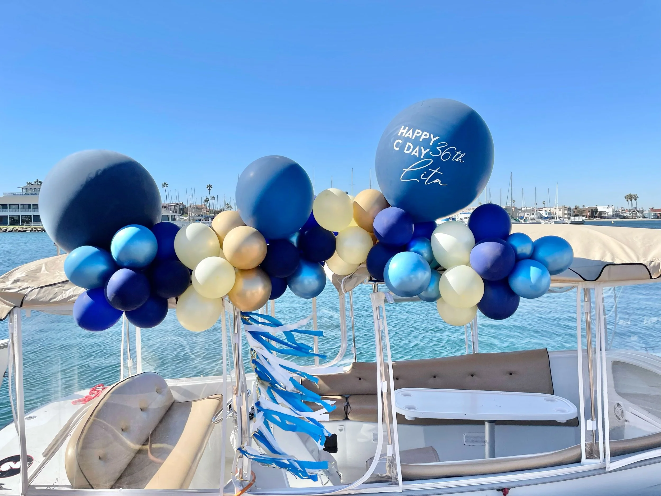 2-4-LBR-Blue.jpg