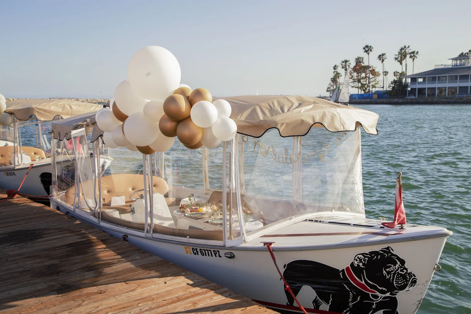 Duffy Balloons Decoration Orange County, San Diego, Los Angeles ...