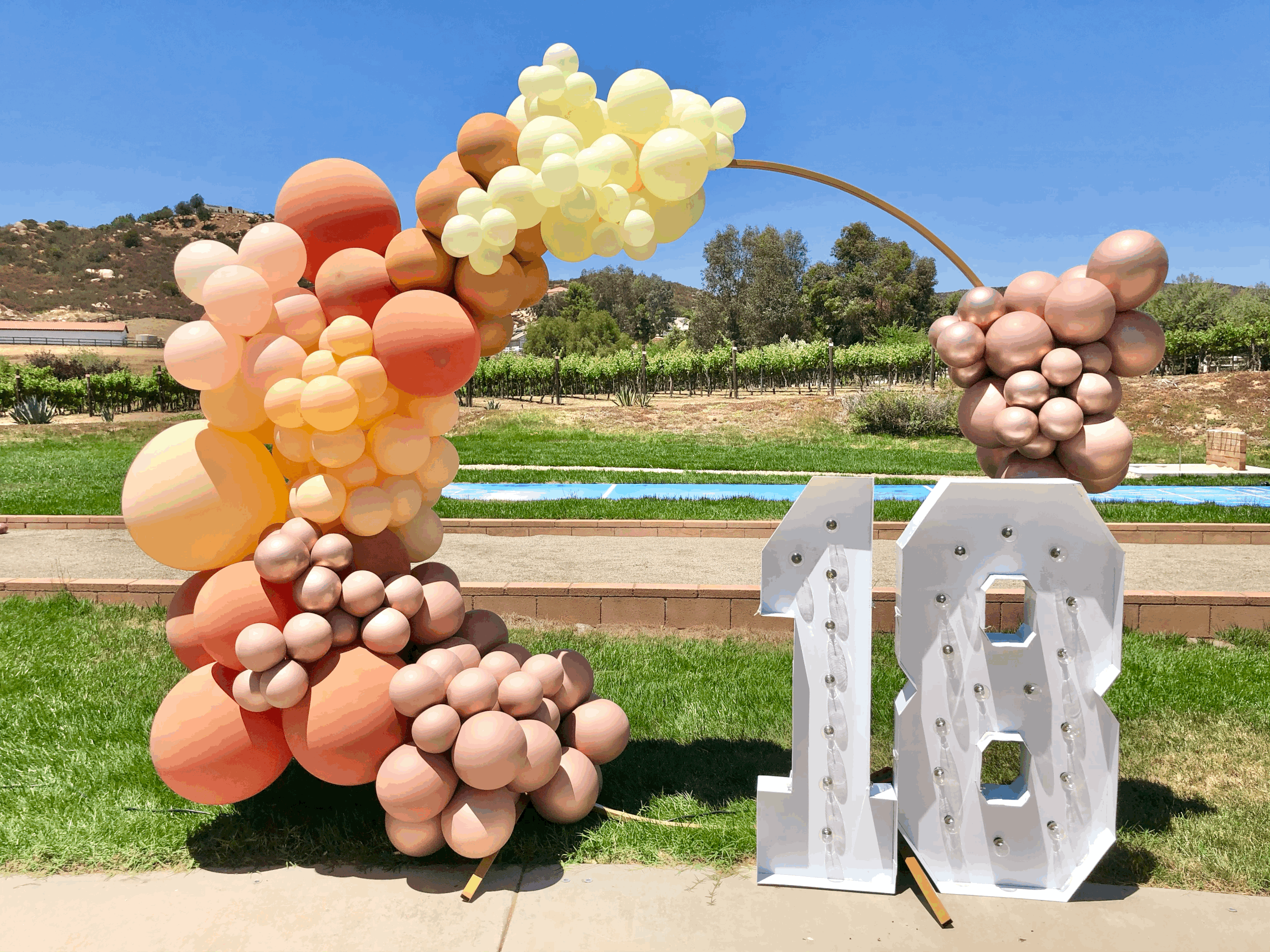 Foto Vibe Circle Stand for Balloons.