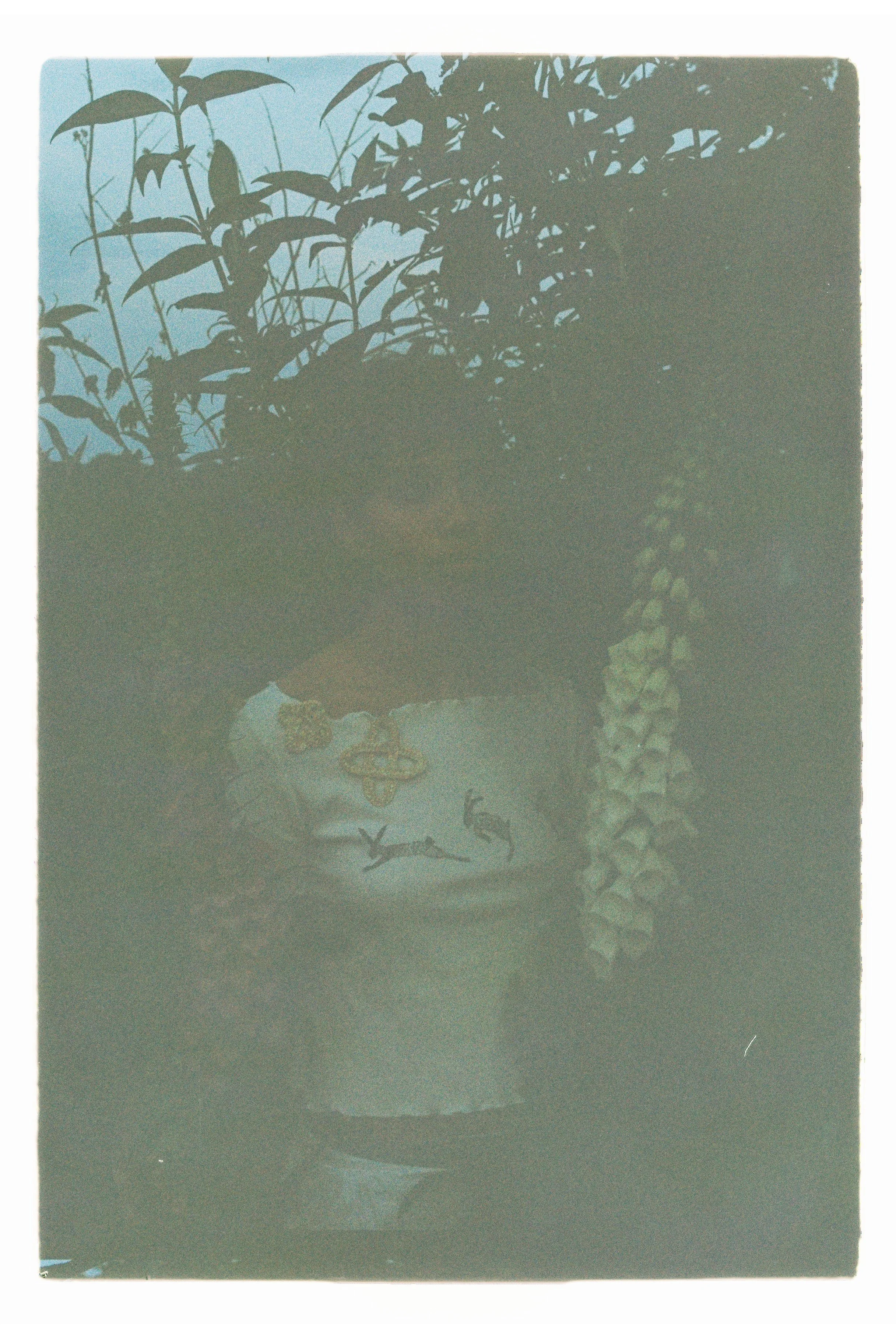000069.jpg