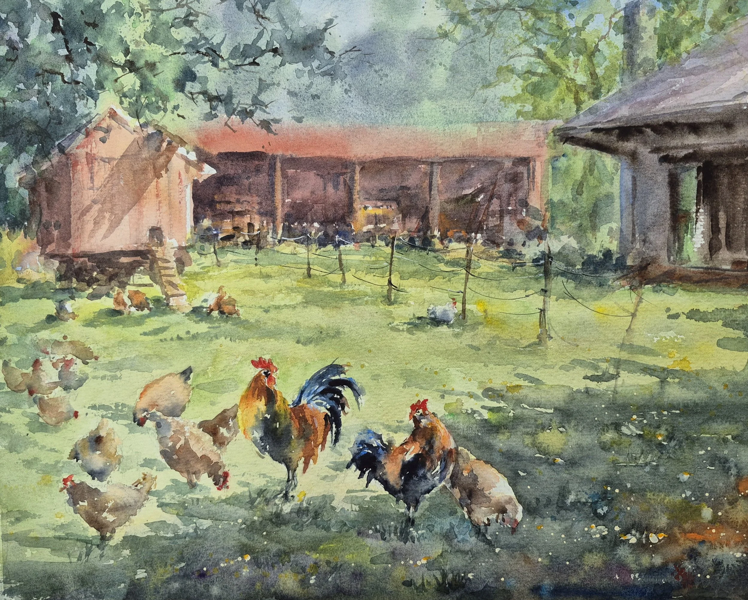 Rooster’s enigma 12x16 $500