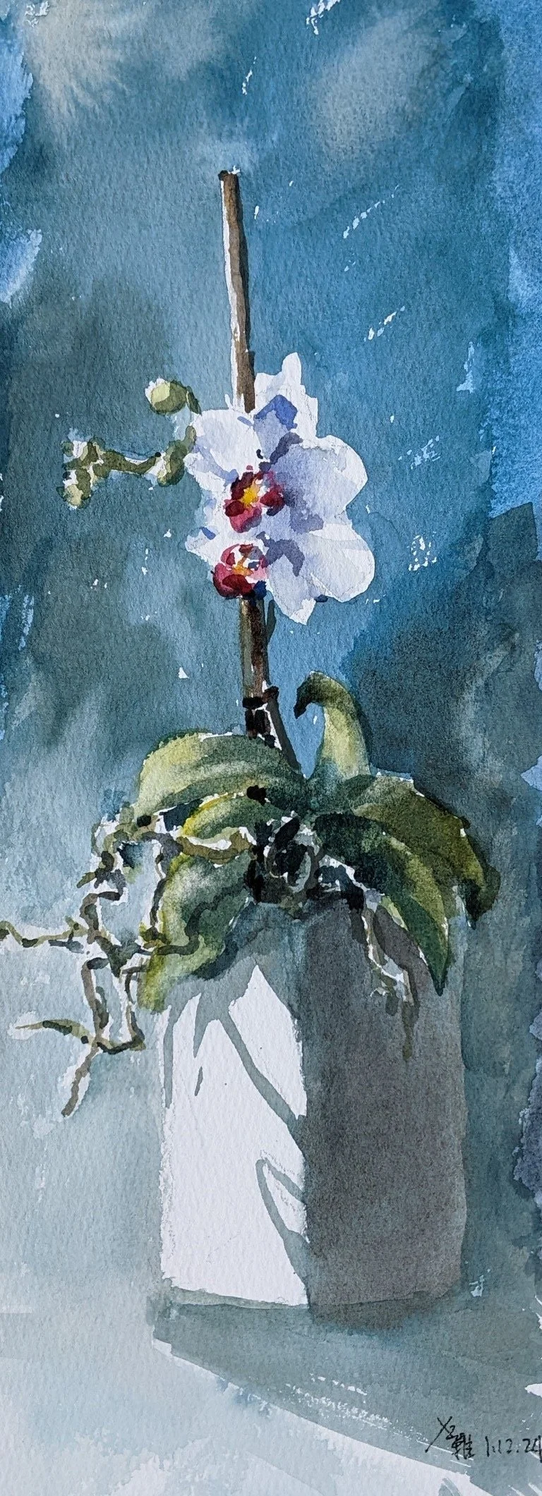 Orchid 12x5