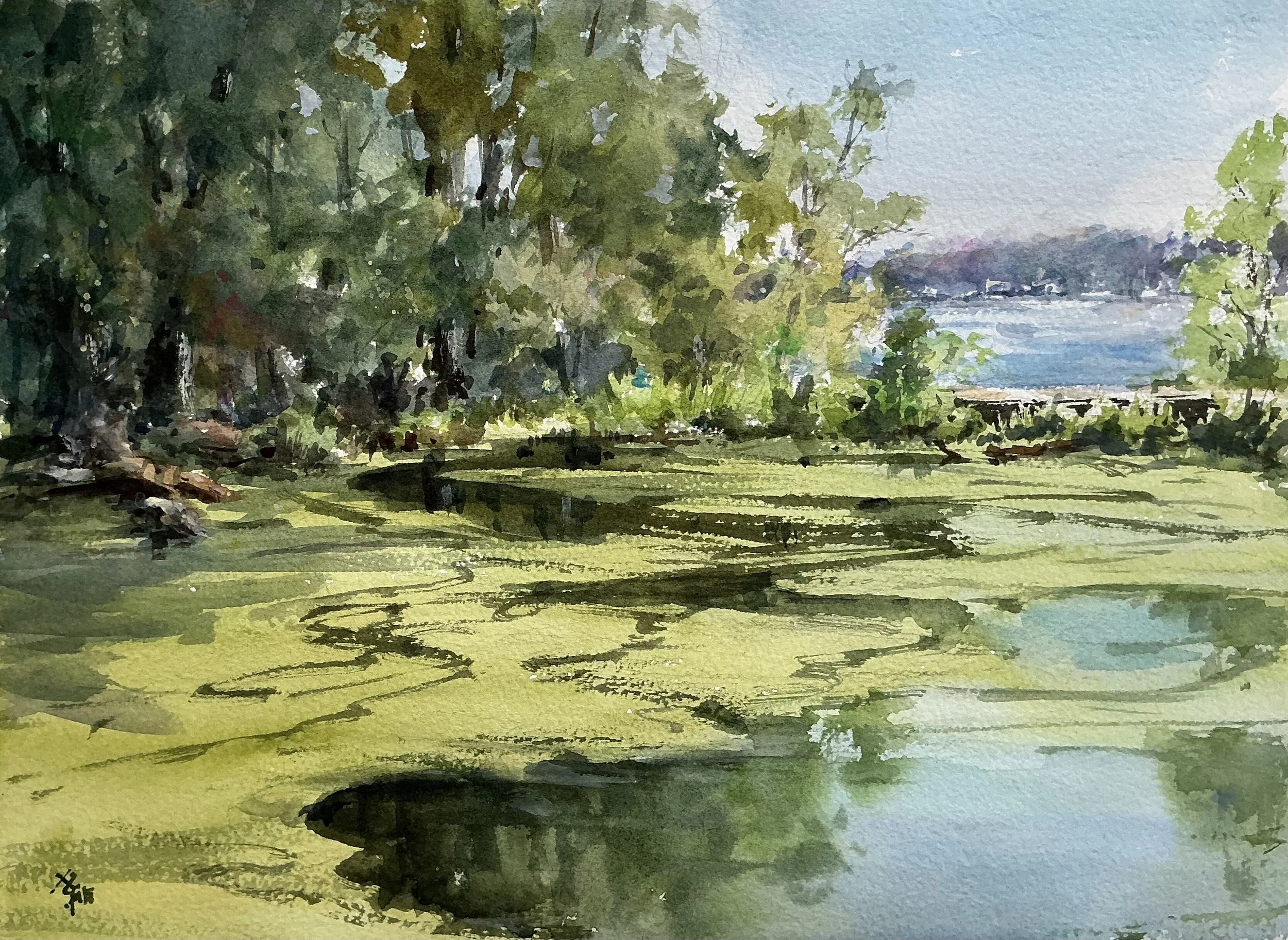 Nature’s brush Strokes 11x14 $500