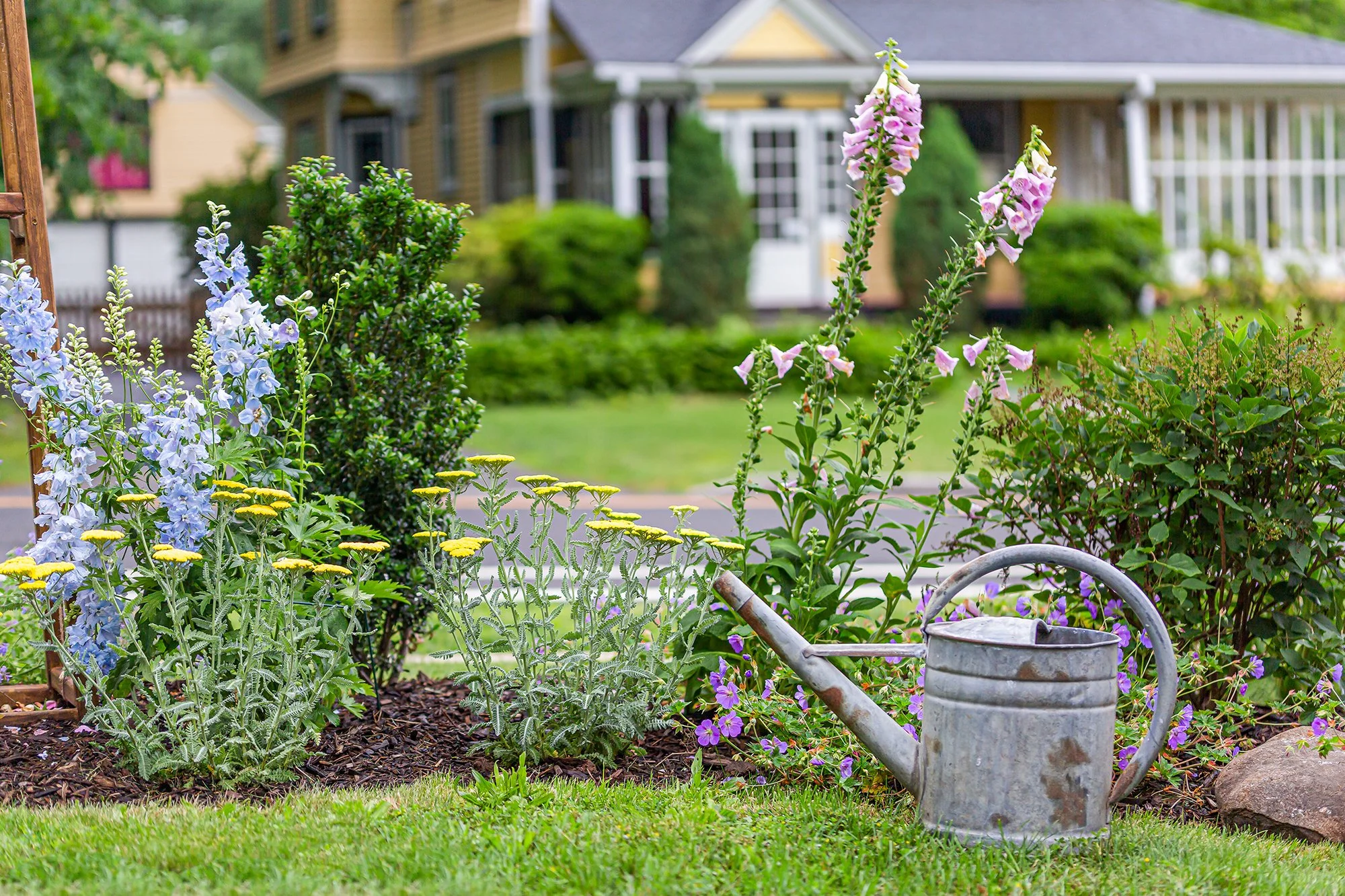 Cottage Garden