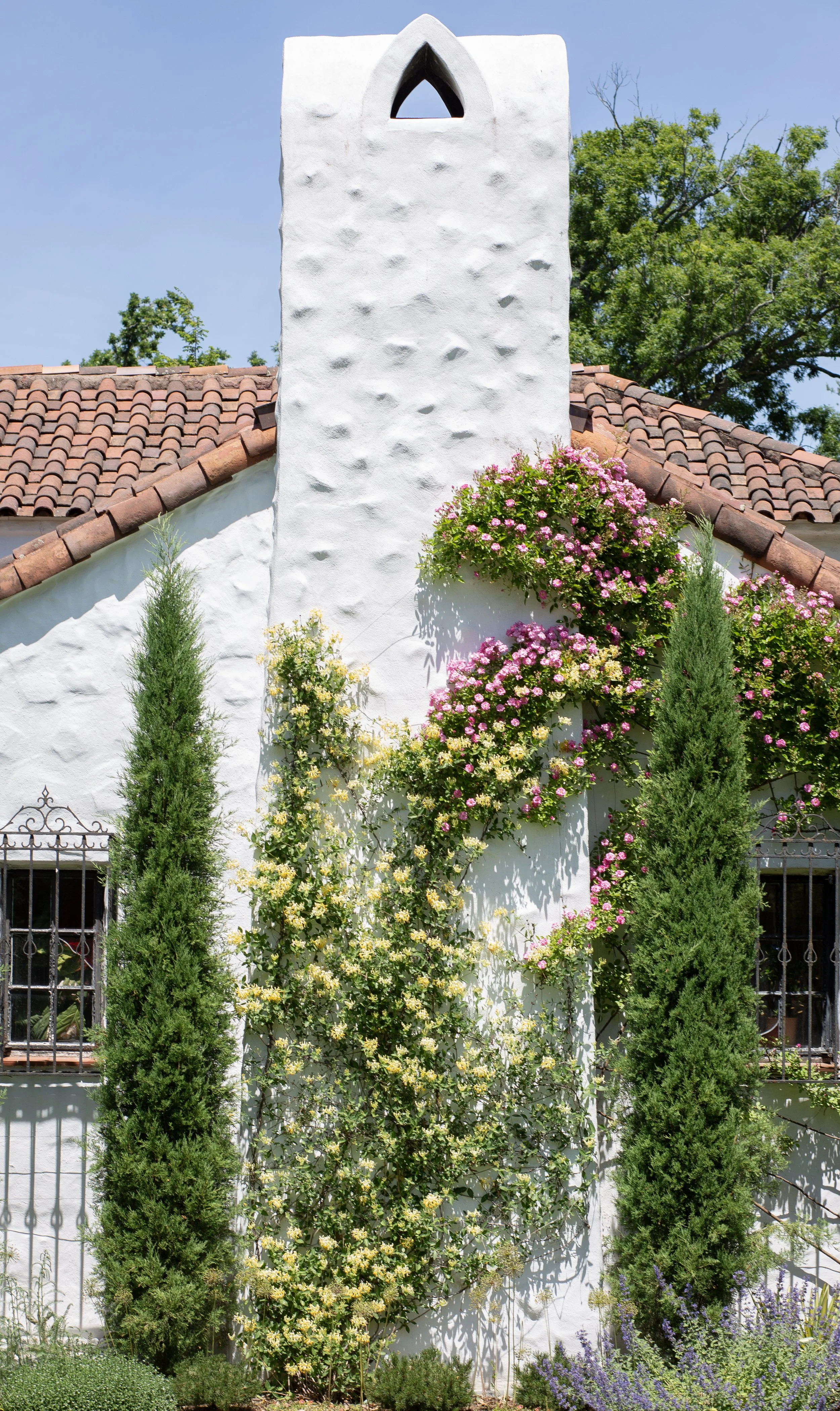 CHIMNEY VINES.jpg